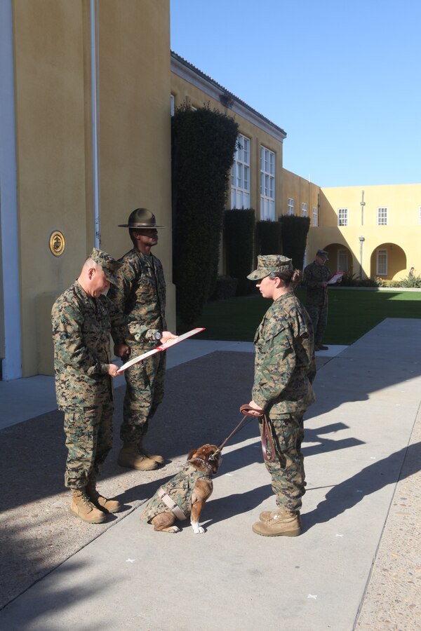 Brigadier General Daniel D. Yoo, commanding general for the Marine Corps Recruit Depot San Diego and Western Recruiting Region, presented Headquarters and Service Battalion with the prizes from the Commanding General’s cup, Jan. 11.