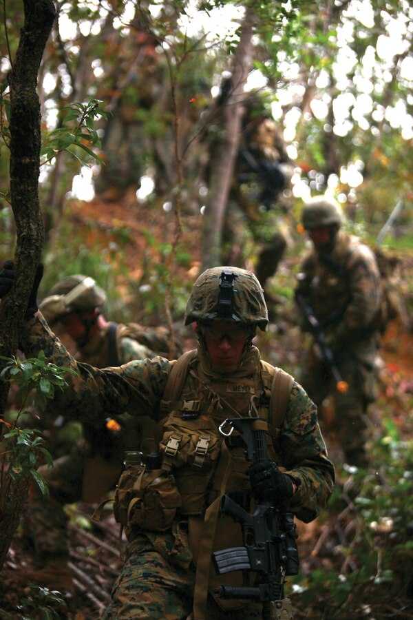 The Amphibious Assault Vehicle Company moves through the jungle surrounding their objective. The jungle is an important part of the Marines training. Normally the company trains at Camp Pendleton, Calif. where the jungle environment is not available.