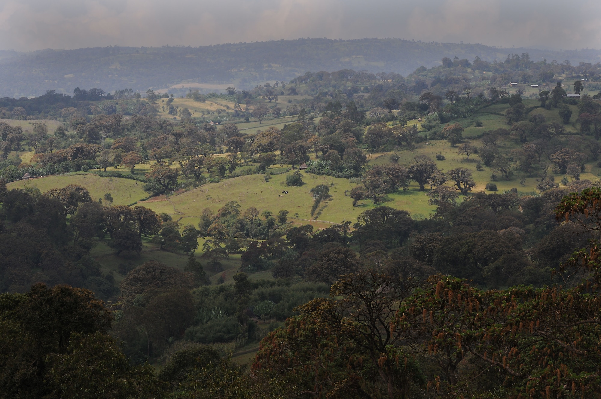 The sun shines on a valley below the road to Negele Borena, Ethiopia, Dec. 5, 2011. According to Addisu Wedhao, the attache to the U.S. Embassy in Ethiopia, the mountainous areas of Ethiopia are home to various types of vegetation and fertile soil, which contributes to the growing economy of the country. (U.S. Air Force photo/Senior Airman Jarad Denton)
