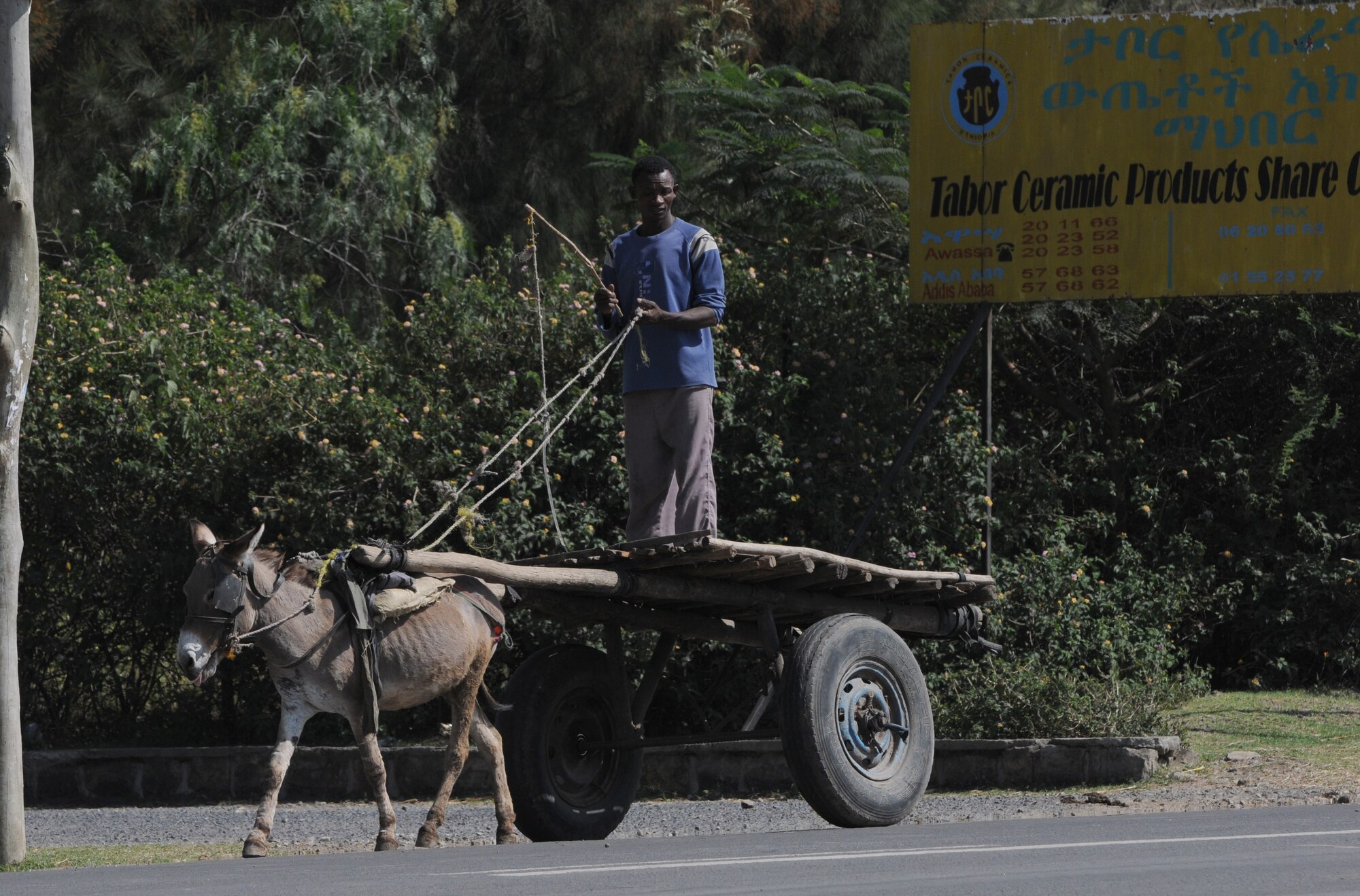 A young man drives a mule-drawn cart along the road to Negele Borena, Ethiopia, Dec. 4, 2011. Addisu Wedhao, attache to the U.S. Embassy in Ethiopia, said these carts are often loaded with recently harvested wheat, bound for processing. (U.S. Air Force photo/Senior Airman Jarad Denton)