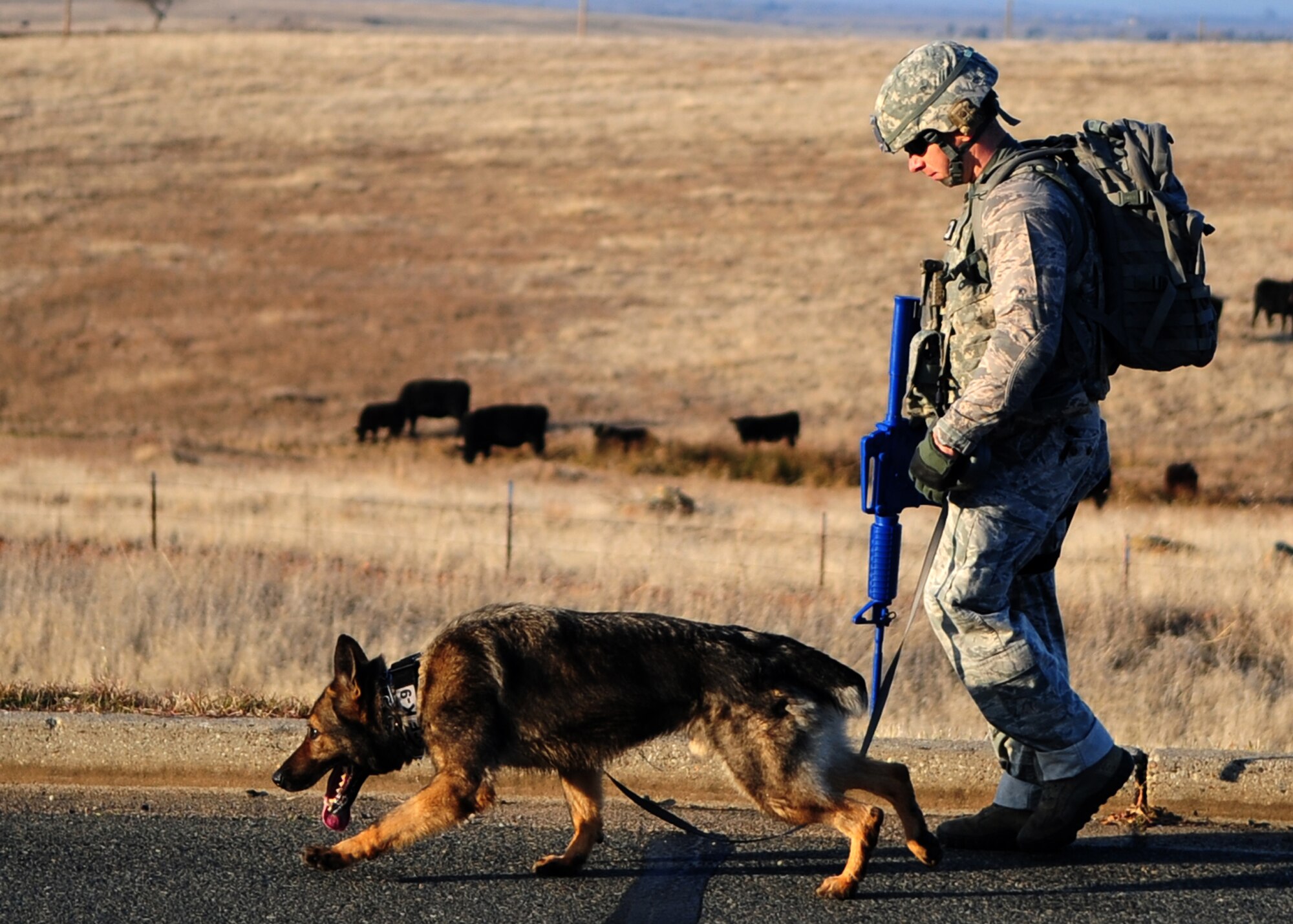 Staff Sgt. Bryan Bowermaster, 9th Security Forces Squadron military working dog handler, walks with his dog, Edy, during a ruck march on Beale AFB Jan. 9, 2012. Each Airman dons a full combat ensemble, a simulated weapon and a backpack weighing upwards of 70 pounds. (U.S Air Force photo by Senior Airman Shawn Nickel/Released)