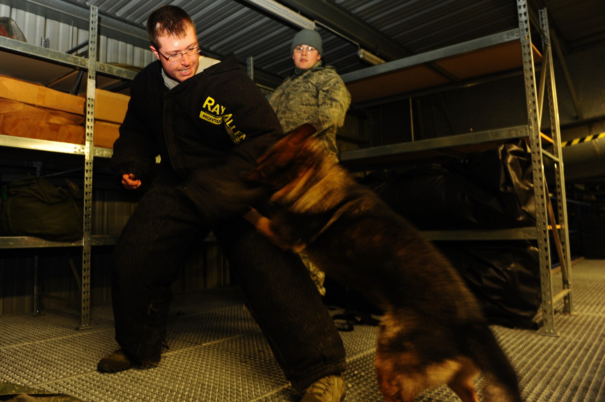 A military working dog attacks Staff Sgt. David Tagliaferroa, 86th Security Forces Squadron, as his handler, Staff Sgt. Benjamin Eisenhart, 86th SFS, looks on during joint kanine training, Ramstein Air Base, Germany, Jan. 9, 2012. The 86th SFS conducted the training with the 230th Military Police Company and German Polizei; consisting of twenty-two kanine teams that covered four scenarios: building searches, bite work, high-risk traffic stops and detection. (U.S. Air Force photo by Airman Brea Miller)