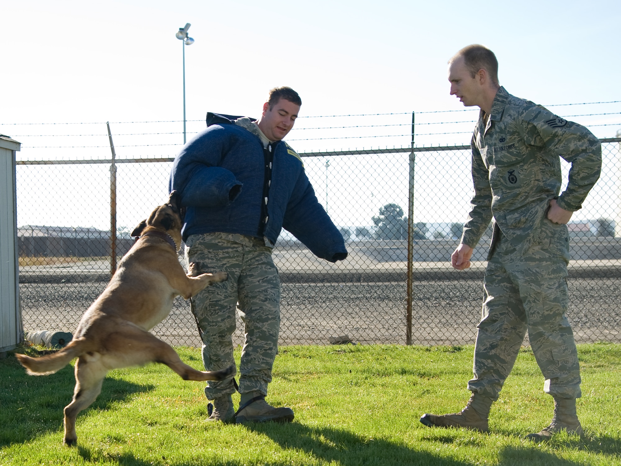 Brit, a military working dog with 60th Security Forces Squadron, shows Staff Sgt. Garett Thomsen what he does when he encounters enemy forces, Travis Air Force Base, Calif., January 4, 2012. Brit will be using these skills on his next deployment to Manas Air Base. (U.S. Air Force photo/Airman 1st Class Nicole Leidholm)