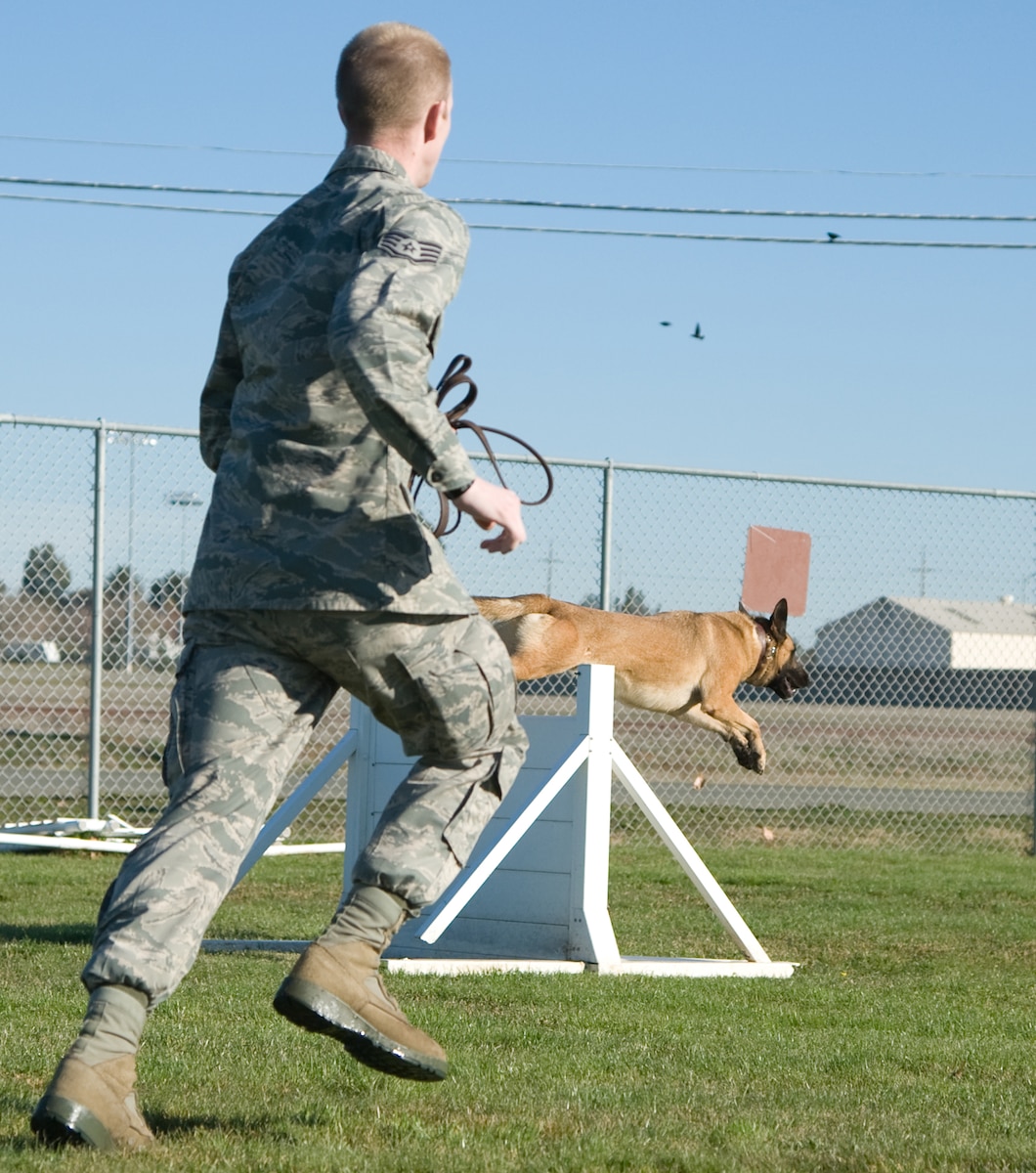 Obstacle Courses