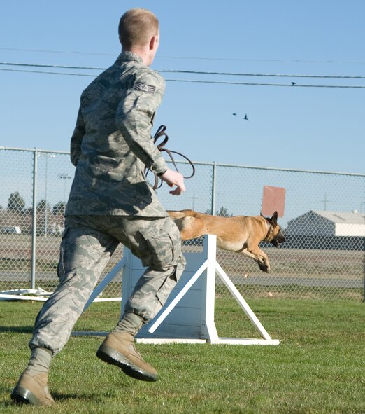 Brit, a military working dog with the 60th Security Forces Squadron, runs an agility course with his previous handler Staff Sgt. Robert Stewart, Travis Air Force Base, Calif., Jan. 4, 2012. (U.S. Air Force photo/Airman 1st Class Nicole Leidholm)