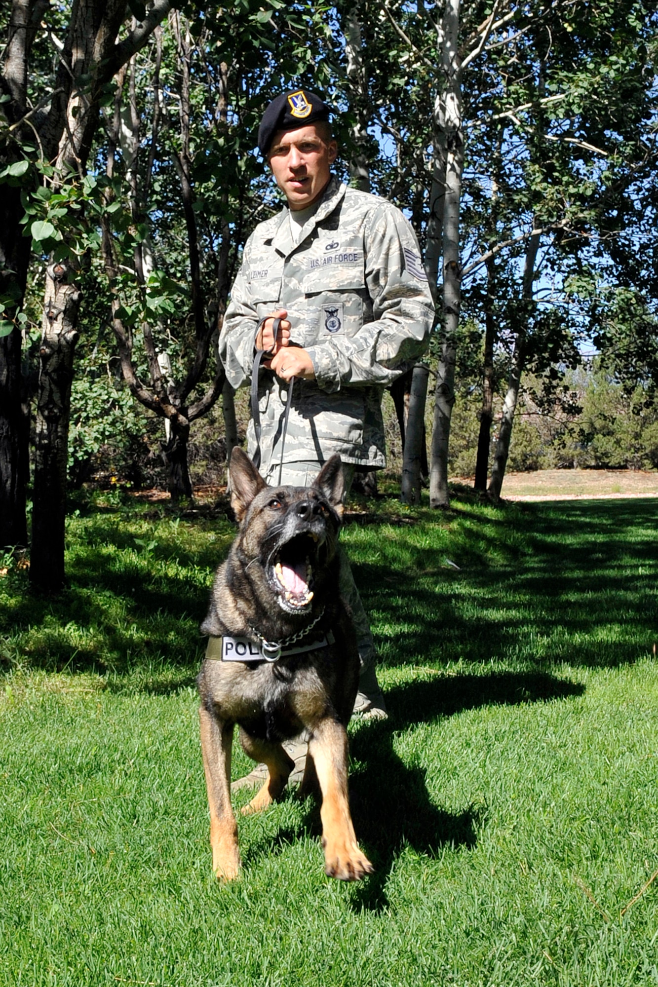 Airmen from the 21st Security Forces Squadron are responsible for defending the installation using various means, including the use of military working dogs. (U.S. Air Force photo/Rob Bussard)