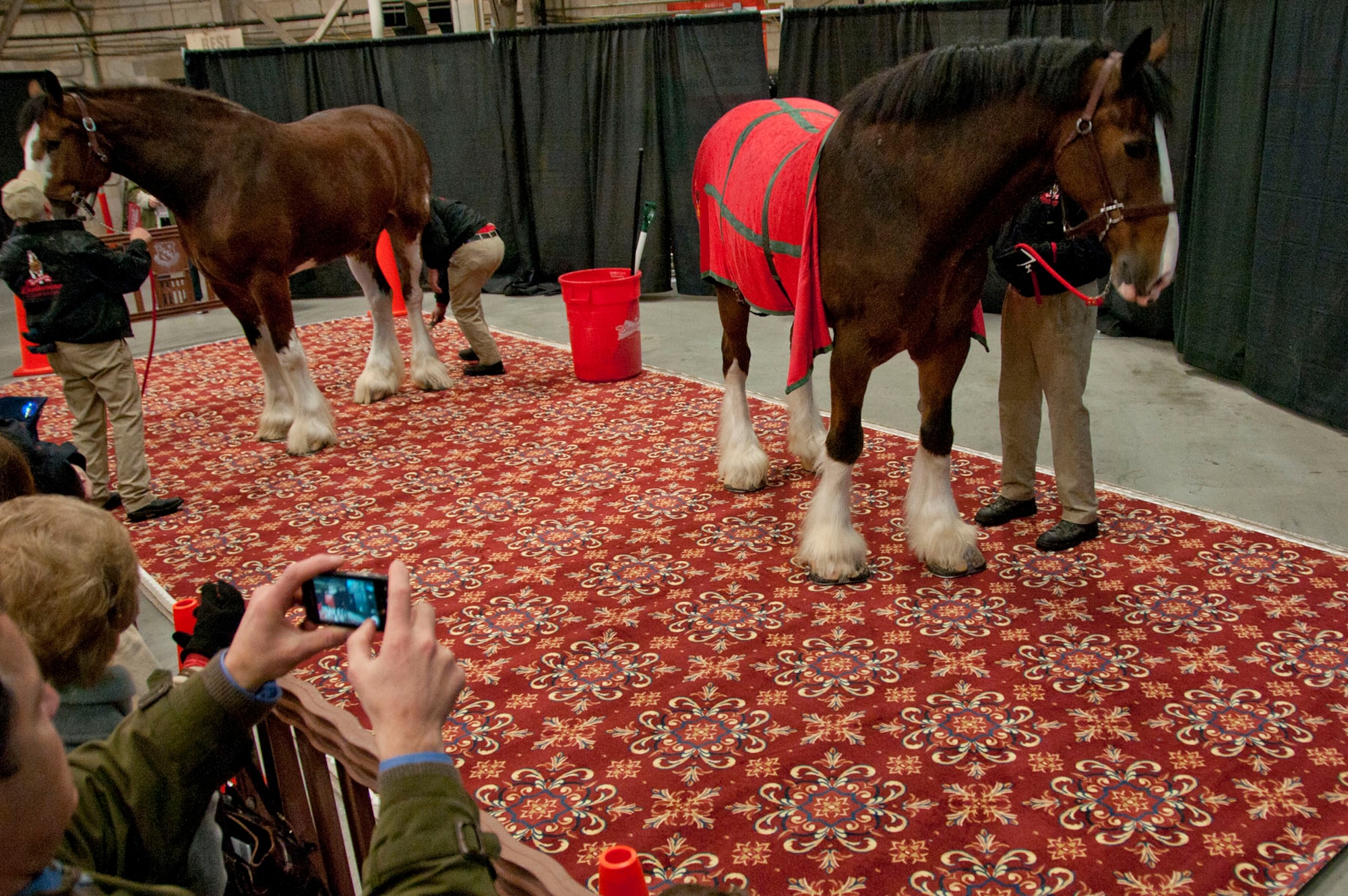 HANSCOM AIR FORCE BASE, Mass. – After the ceremony, Heroes Homecoming attendees take photos of the Budweiser Clydesdales in the Aero Club Hangar Jan. 12. The horses were just one of many things honorees and their families were able to take photos of during the event. (U.S. Air Force photo by Mark Wyatt)