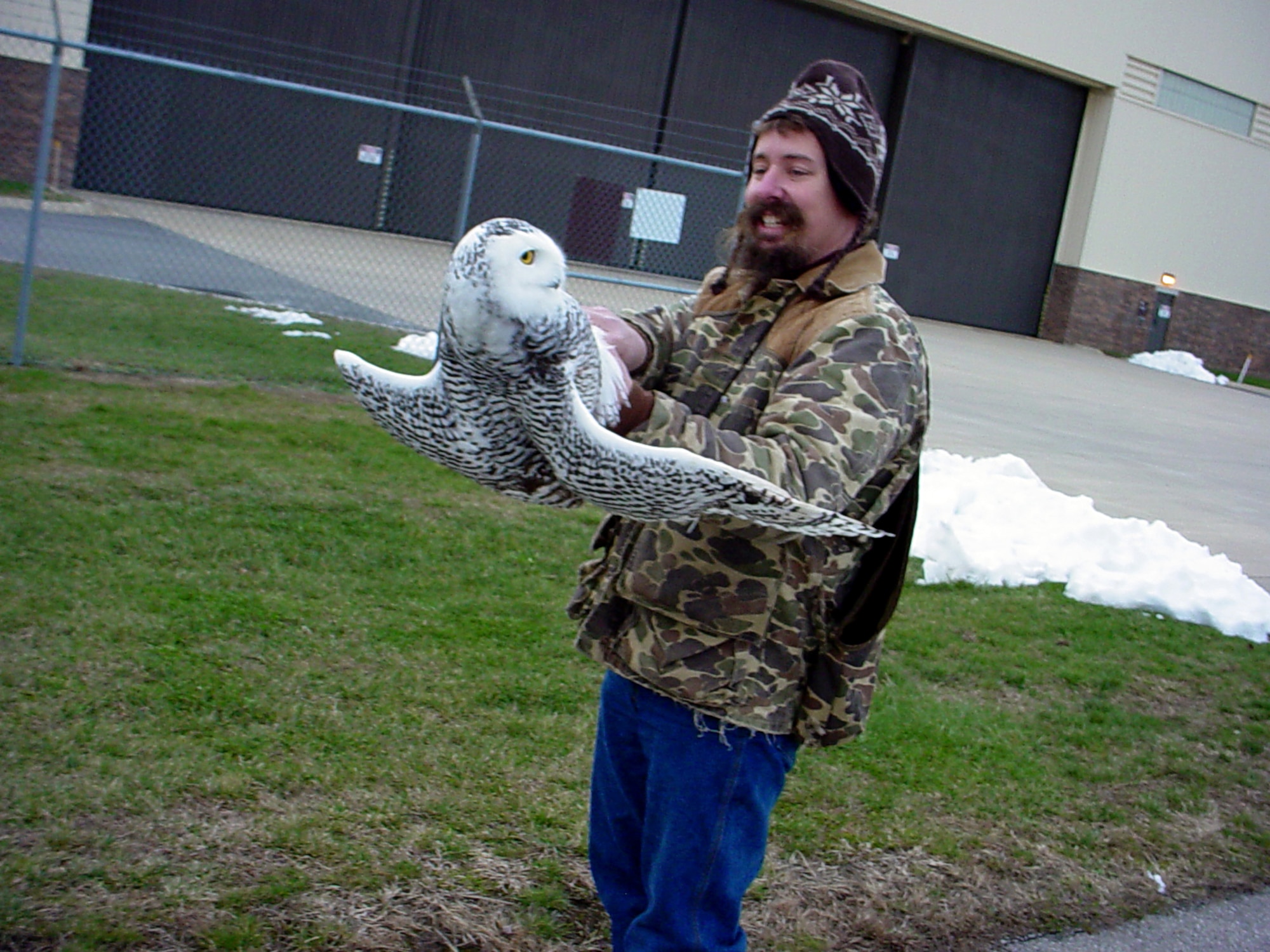 GRISSOM AIR RESERVE BASE, Ind. -- Adam Speicher, a local falconer, checks to make sure a snowy owl dubbed Hedwig is free from injuries after being caught here Dec. 8. Hedwig caused a commotion at Grissom as safety and airfield officials chased him around the base for a week. (U.S. Air Force  photo/Maj. Doug Perry)
                 