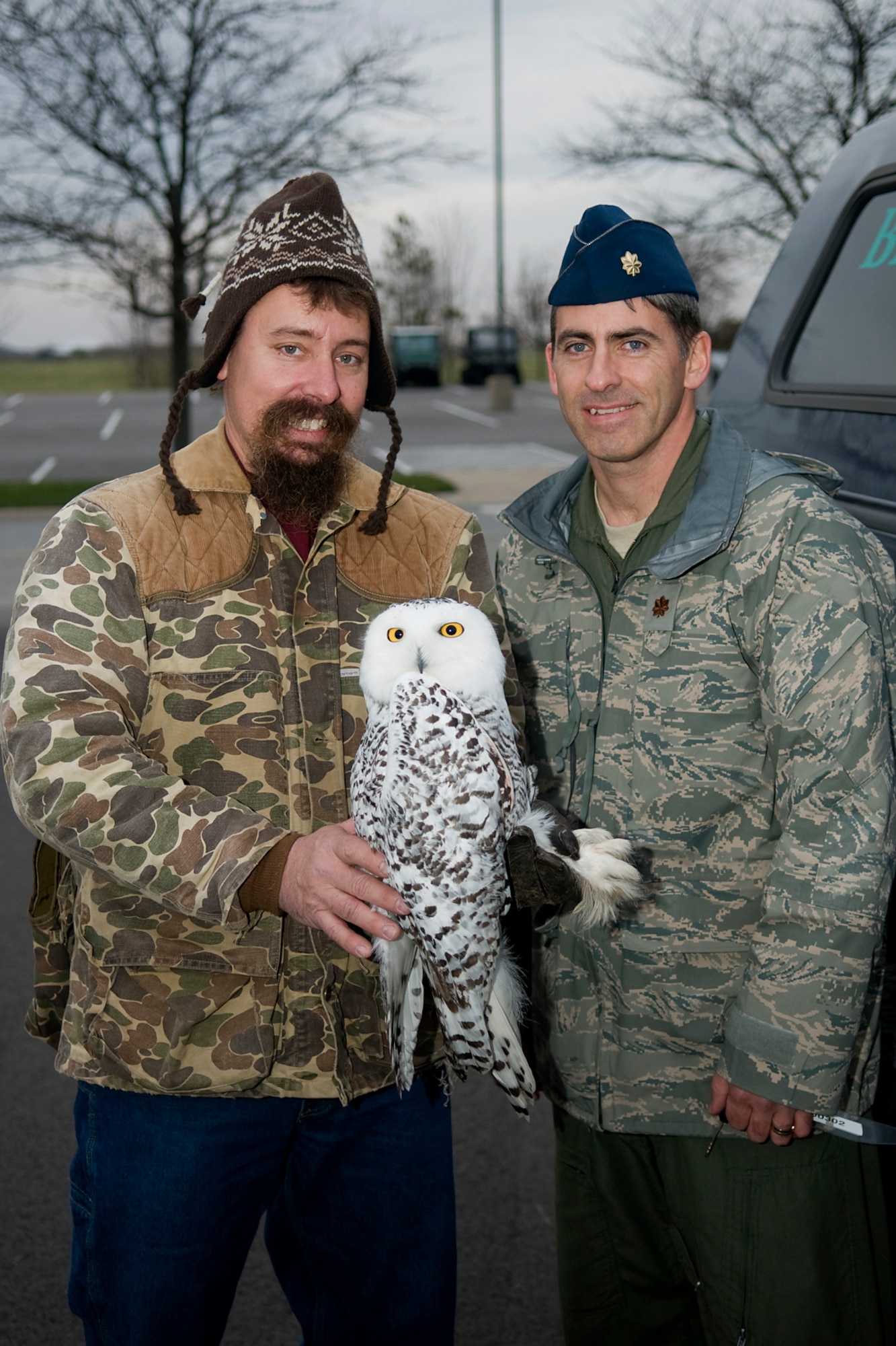 Douglas snowy 2024 owl