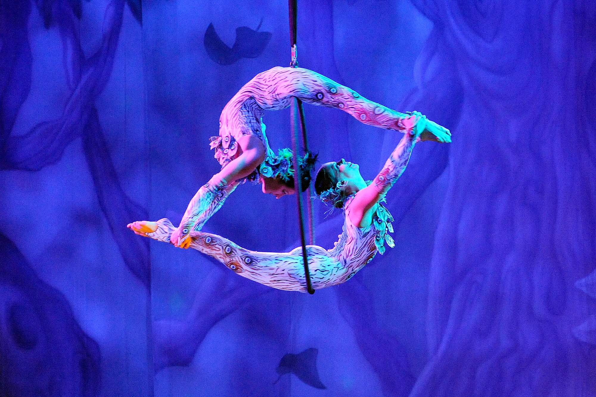 MISAWA CITY, Japan - Performers exhibit their aerial acrobatic talent during the Cirque Dreams Jungle Fantasy World Tour show held at the Misawa Civic Center Jan. 18. Cirque Productions was founded in 1993 as the first American company combining the European cirque-style of performance artistry with American circus arts and Broadway theatrics. (U.S. Air Force photo/Tech. Sgt. Marie Brown)
