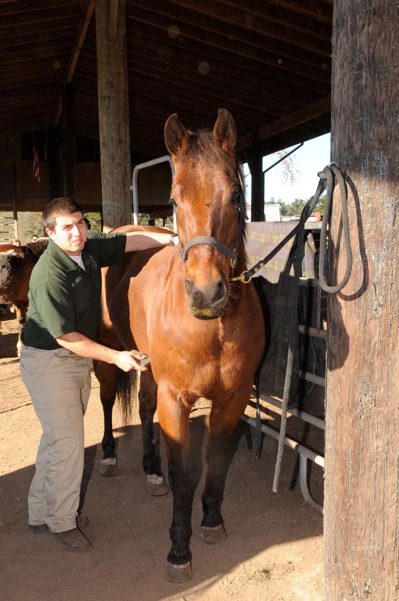 VANDENBERG AIR FORCE BASE, Calif. – Senior Airman Aaron Brown, a 30th Security Forces Squadron conservation officer, uses a grooming block to remove dirt and condition the hair of Trooper here Friday, Jan. 13, 2012. Performing daily grooming allows Brown to bond with his four-legged co-worker Trooper, who is a part of the only Mounted Horse Patrol unit in the entire Air Force. (U.S. Air Force photo/Tech. Sgt. Scottie T. McCord)
