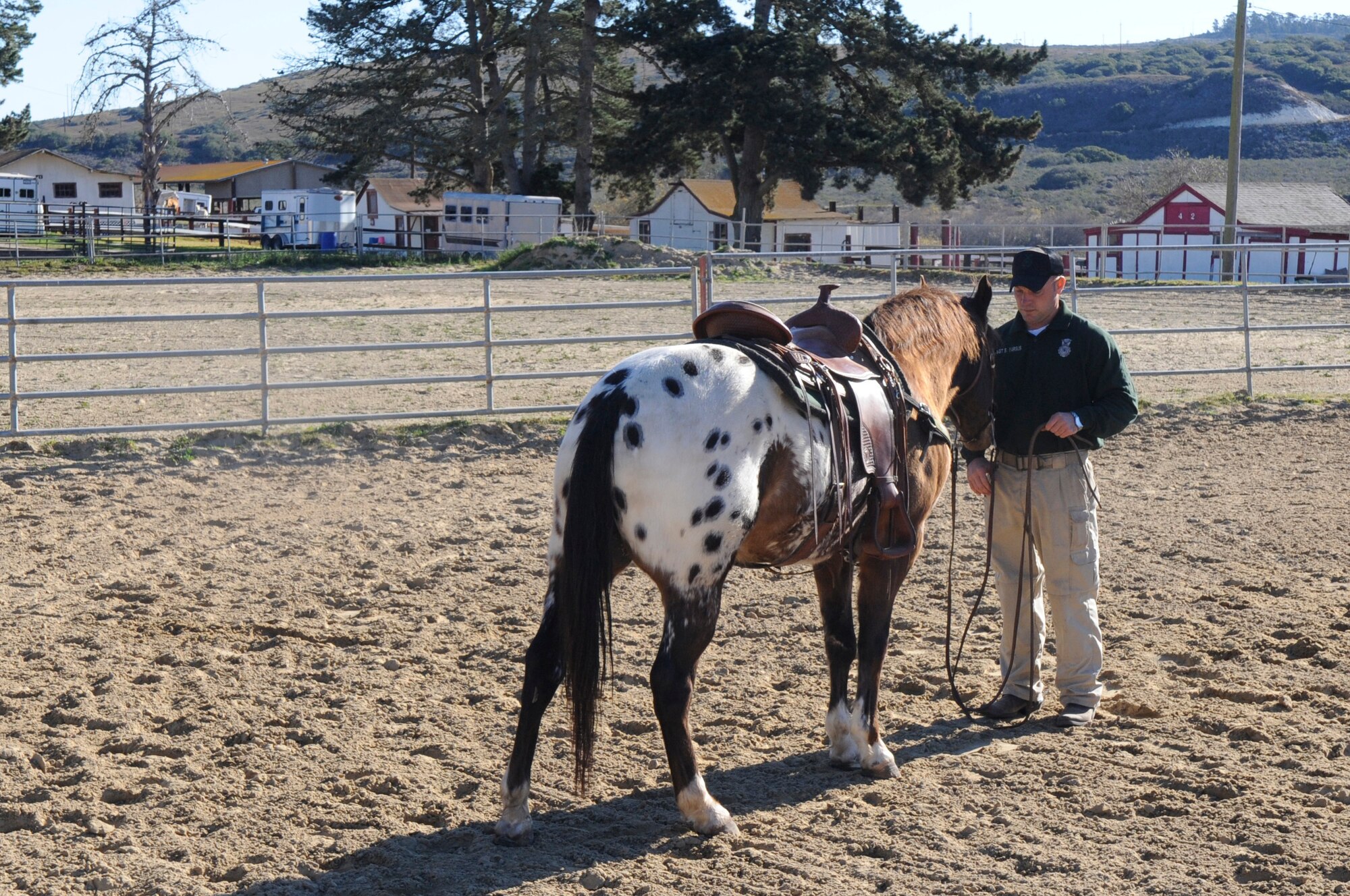 VANDENBERG AIR FORCE BASE, Calif. – Tech. Sgt. Sean Yargus, a 30th Security Forces Squadron conservation officer, prepares Six Eagle for his daily exercise routine in the arena. When not on patrol, the horses perform exercises and training consisting of arena work and lunging.  Yargus is the NCO in charge of the only Mounted Horse Patrol unit in the entire Air Force.  (U.S. Air Force photo/Tech. Sgt. Scottie T. McCord)