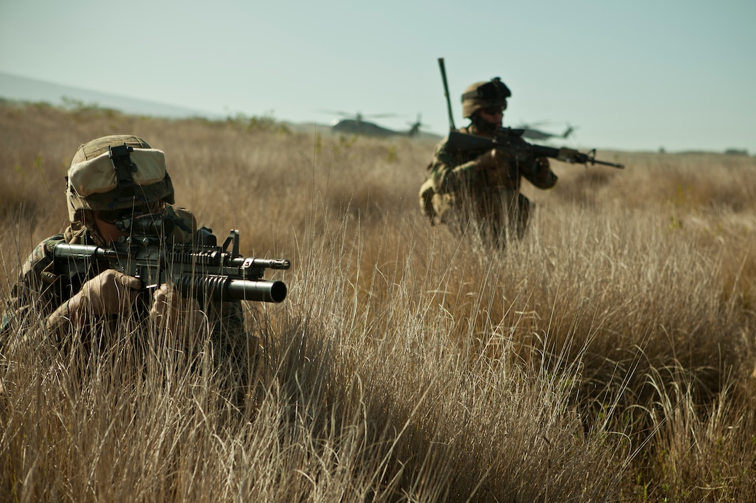 Marines with Gulf Company, 2nd Battalion, 3rd Marine Regiment, conduct immediate-action drills after a helicopter insert during Lava Viper, Jan. 20. Lava Viper is a battalion-level combined-arms training exercise to better prepare Marines for upcoming deployments.