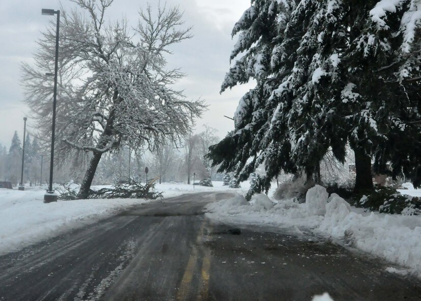 Madrona Road, close to the McChord Dental and Medical Clinics, remains covered with fallen branches after the installation experienced a winter storm which accumulated more than nine inches of snow Jan. 20, 2012, at Joint Base Lewis-McChord, Wash. The storm has left more than 300,000 residents throughout the Puget Sound area without power. (U.S. Air Force photo/Airman 1st Class Leah Young)