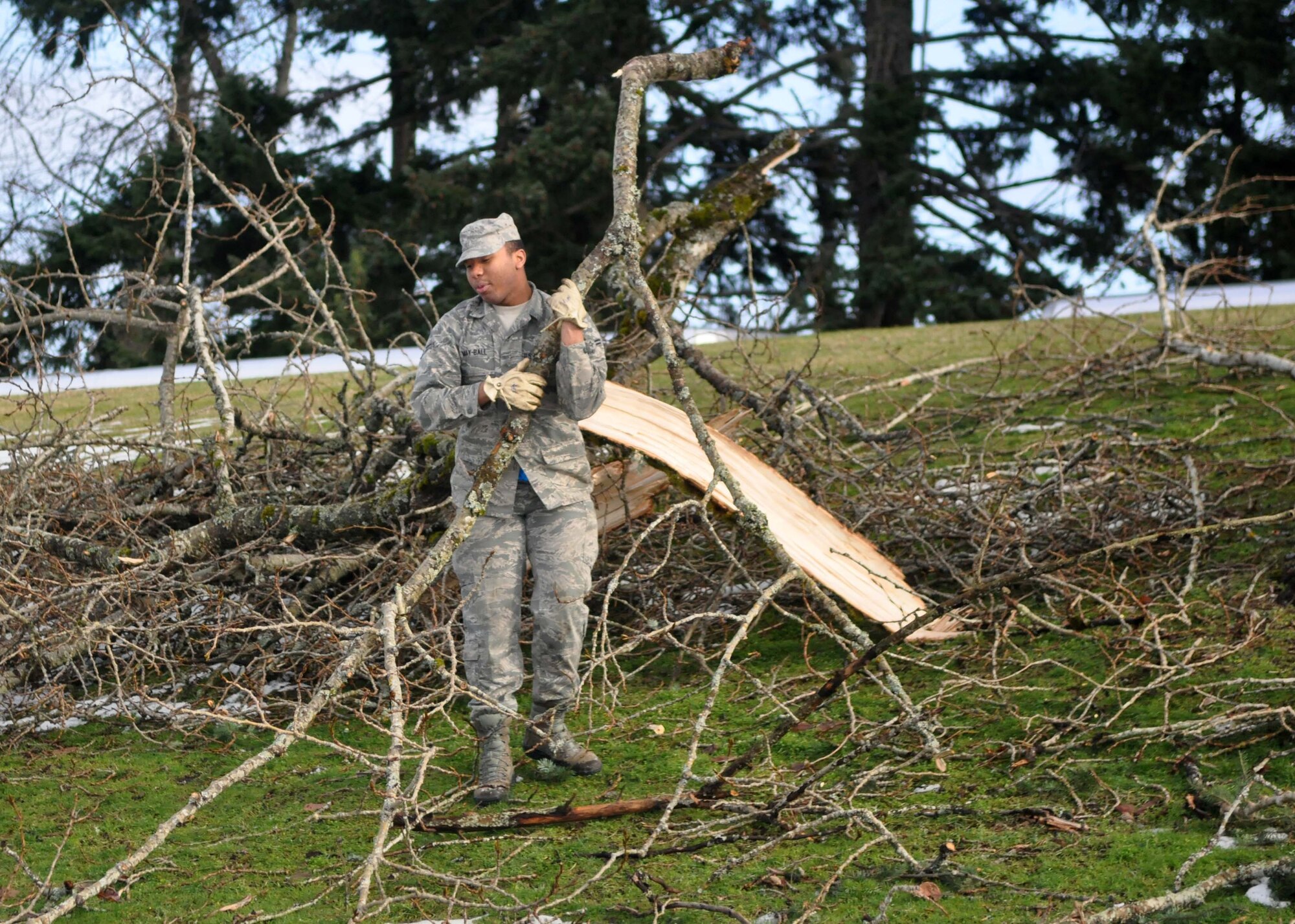 Airman 1st Class Mkeil Mayball, assigned to the 627th Logistic Readiness Squadron, drags fallen branches near the road for pick up Jan. 23, 2012, at Joint Base Lewis-McChord, Wash. McChord Field is recovering from a record-breaking winter storm which left more than 300,000 residents throughout the Puget Sound area without power for as many as four days. (U.S. Air Force photo/Airman 1st Class Leah Young)
