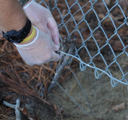 Dennis Lewis sets up a coyote trap during a wildlife patrol on Seymour Johnson Air Force Base, N.C., Jan. 20, 2012. When setting up animal traps it is mandatory to wear gloves to keep human scent off the trap which prevents animal deviation. Exhausting wildlife around the perimeter of the flightline prevents animals from feeling comfortable and calling the base home. Lewis is a U.S. Department of Agriculture specialist from Milan, Tenn. (U.S. Air Force photo/Senior Airman Whitney Stanfield)