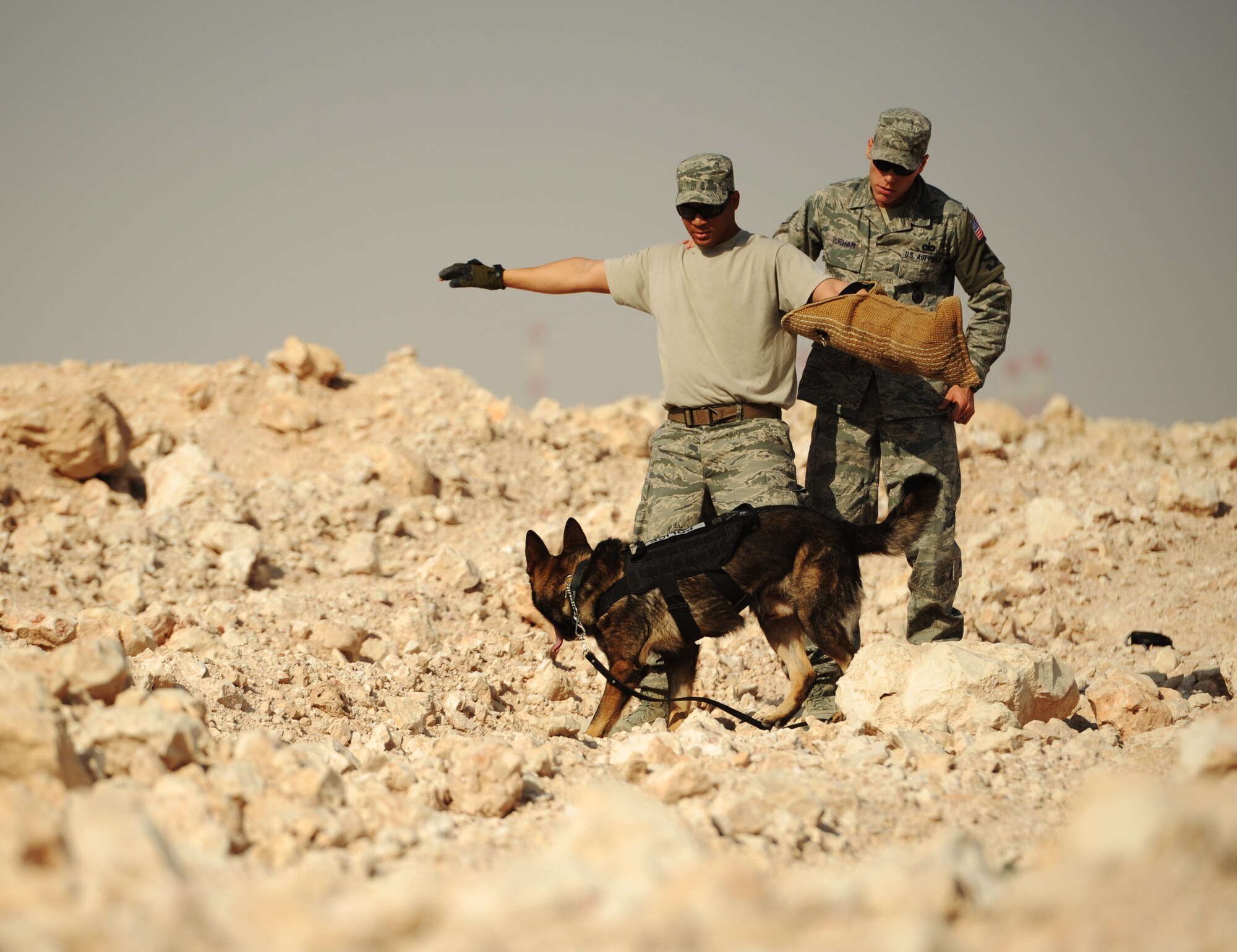 SOUTHWEST ASIA – Kichi, a military working dog, provides overwatch as his handler, Staff Sgt. Brandon Durham, 379th Expeditionary Security Forces Squadron and native of Eugene, Ore., searches a suspect during a MWD capabilities demonstration here Jan. 19, 2012. Handlers train with their dogs on a daily basis to keep the working relationship strong and keep the dogs’ skills proficient. Durham is deployed from F.E. Warren Air Force Base, Wyo. (U.S. Air Force photo/Staff Sgt. Nathanael Callon)