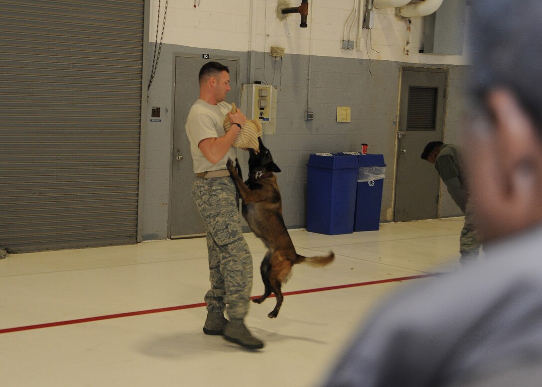 A Joint Base Andrews Military Working Dog handler simulates an assailant during a demonstration for the JBA Honorary Commander’s tour on Jan 20. The honorary commanders were given a tour of the base, which was designed to highlight Andrews assets and missions to civic leaders and to form positive relationships with the local community. (U.S. Air Force photo/Staff Sgt. Matt Coleman-Foster)