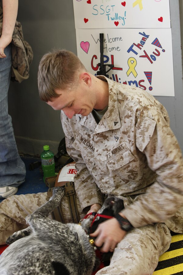 Lance Cpl. Christopher C.  Wiegman, a helicopter crew chief with Marine Heavy Helicopter Squadron 366, plays with his dog, Buster, in the squadron's hangar Jan. 25, 2012 before he departs to Afghanistan. The squadron departed for a seven-month deployment, where they will support Operation Enduring Freedom.