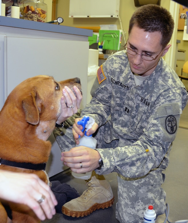 Army Capt. (Dr.) Andrew Schrader cleans a dog’s shaved throat before further examining the pet during an appointment at the Joint Base Charleston – Air Base Veterinary Treatment Facility. The dog was brought in because of multiple large lumps causing mild pain. (U.S. Air Force photo / Airman 1st Class Tom Brading)