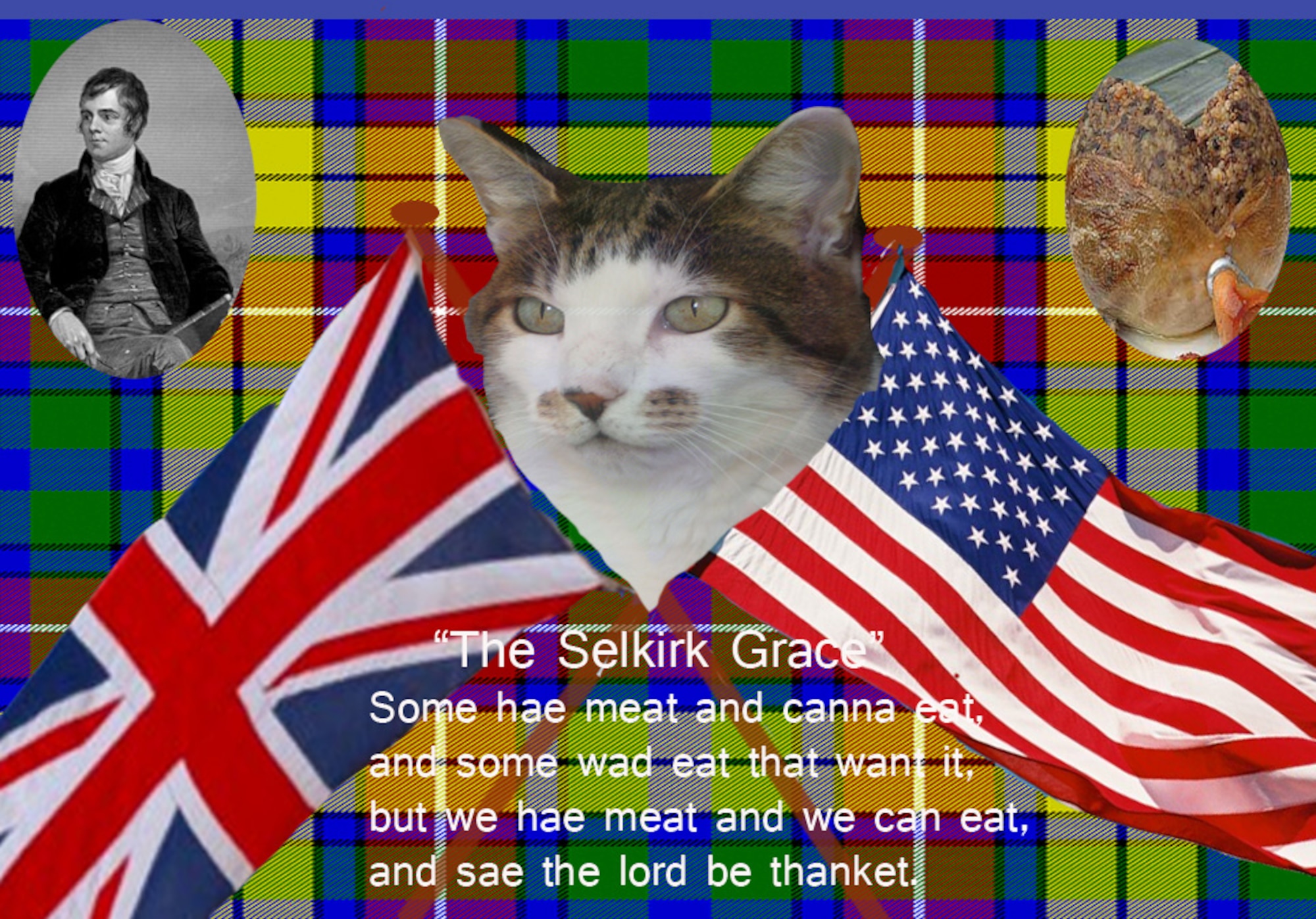 British Billy this week explains some of the traditions surrounding the Scottish celebration of Burns Night. Robert Burns is regarded as the national poet of Scotland,and his birth is remembered each year with the Burns Night supper on Jan. 25, which includes the eating of haggis. Feel free to send Billy any questions you have about life in the U.K., and when he isn’t sleeping or hunting, he’ll try and put a few thoughts together to help you out.