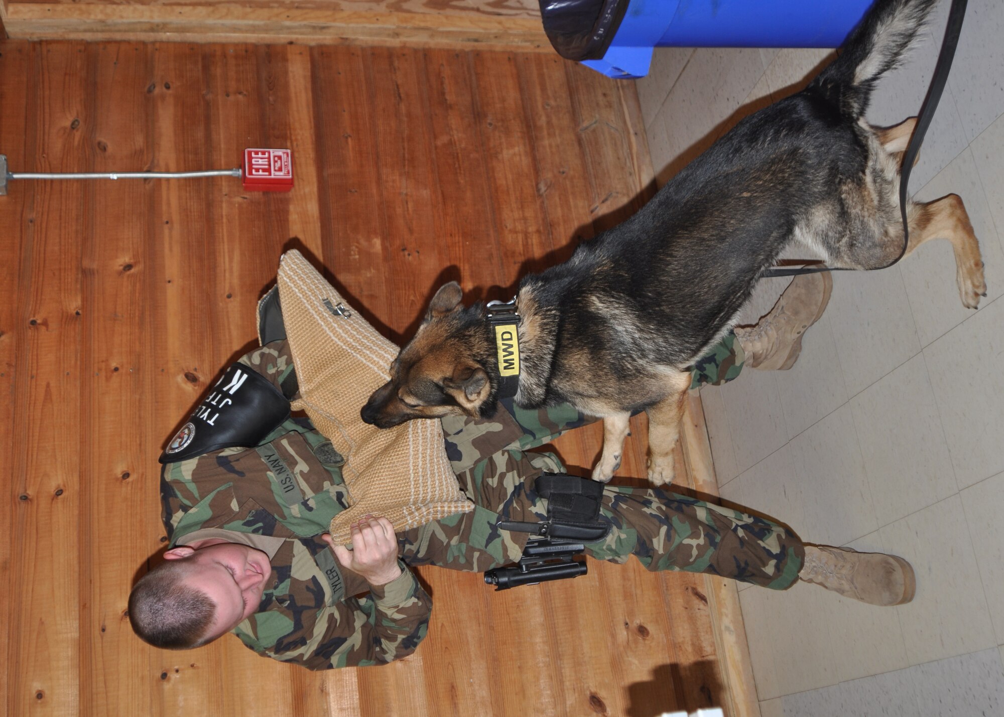 Master at Arms Seasman Dustin Tyler, a dog handler with Joint Security Forces here, trains his military working dog, Jake, during building search training earlier this month. (U.S. Air Force photo/Capt. Candice Allen)