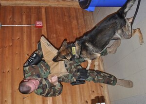 Master at Arms Seasman Dustin Tyler, a dog handler with Joint Security Forces here, trains his military working dog, Jake, during building search training earlier this month. (U.S. Air Force photo/Capt. Candice Allen)