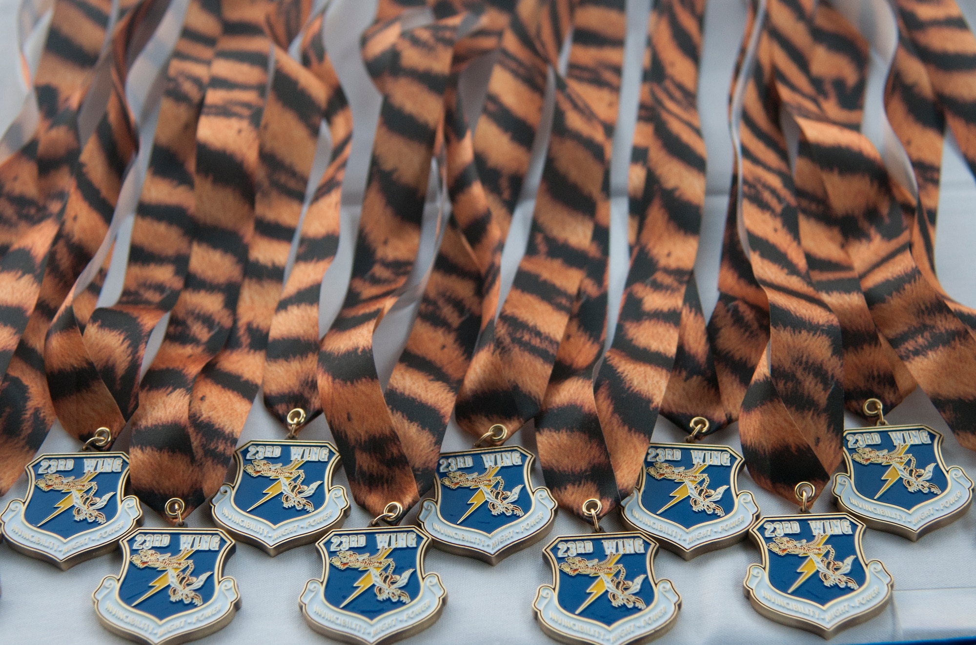 Medallions rest on a table as the commander and 
 Command chief of the 23d Wing present each award nominee with a medallion during the Annual Awards Banquet at the James H. Rainwater Conference Center in Valdosta, Ga., Jan. 28, 2012. There were nearly 100 nominees for the 2012 annual awards. (U.S. Air Force Photo by Airmen 1st Class Paul Francis/Released)
