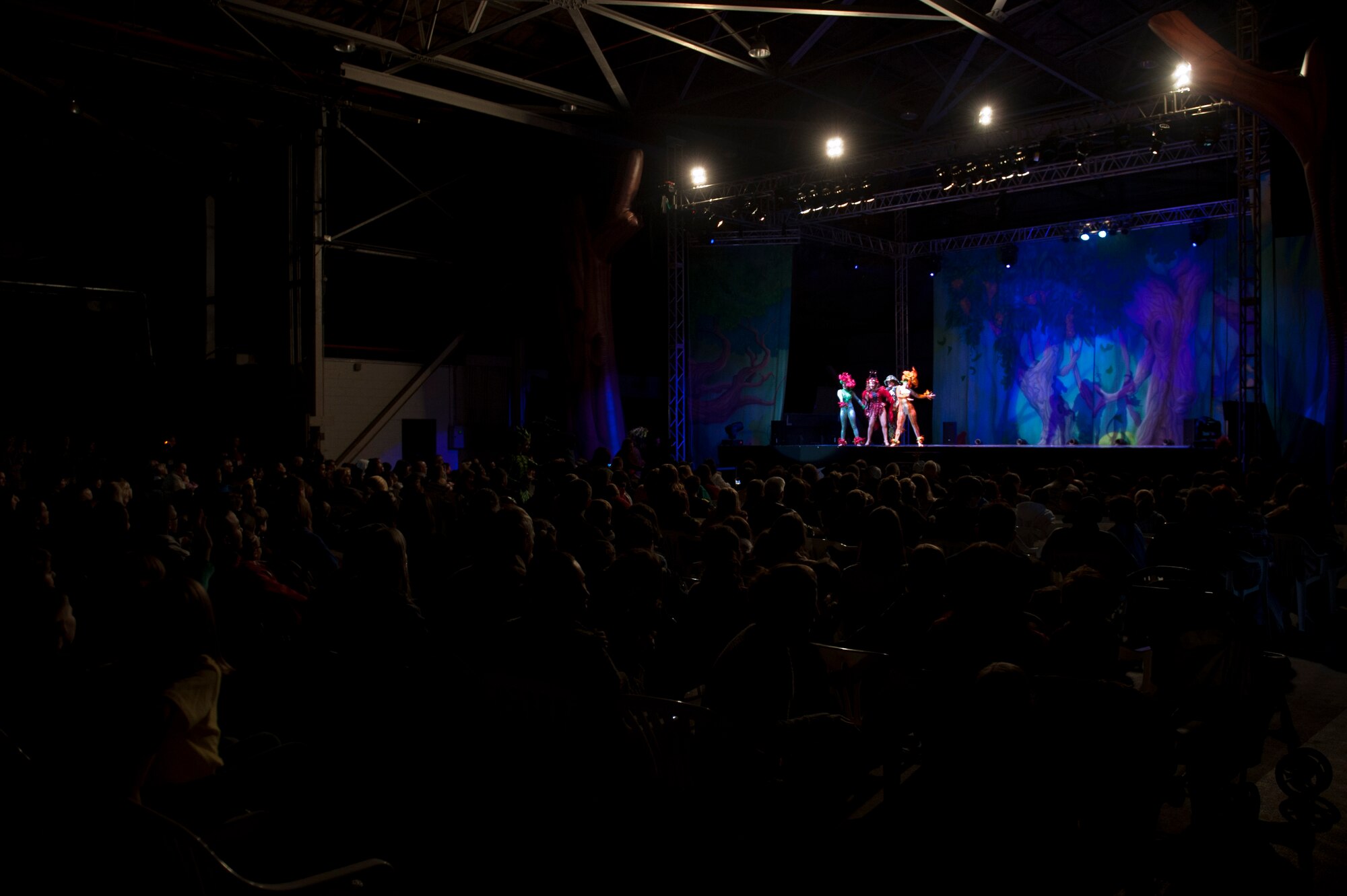 Cast members perform during the Cirque Dreams World Tour Jan. 30, 2012, at Incirlik Air Base, Turkey. Cirque Dreams partnered with Armed Forces Entertainment to perform "Jungle Fantasy" at 17 military installations in 10 different countries through Asia and Europe. (U.S. Air Force photo by Tech. Sgt. Michael B. Keller/Released)