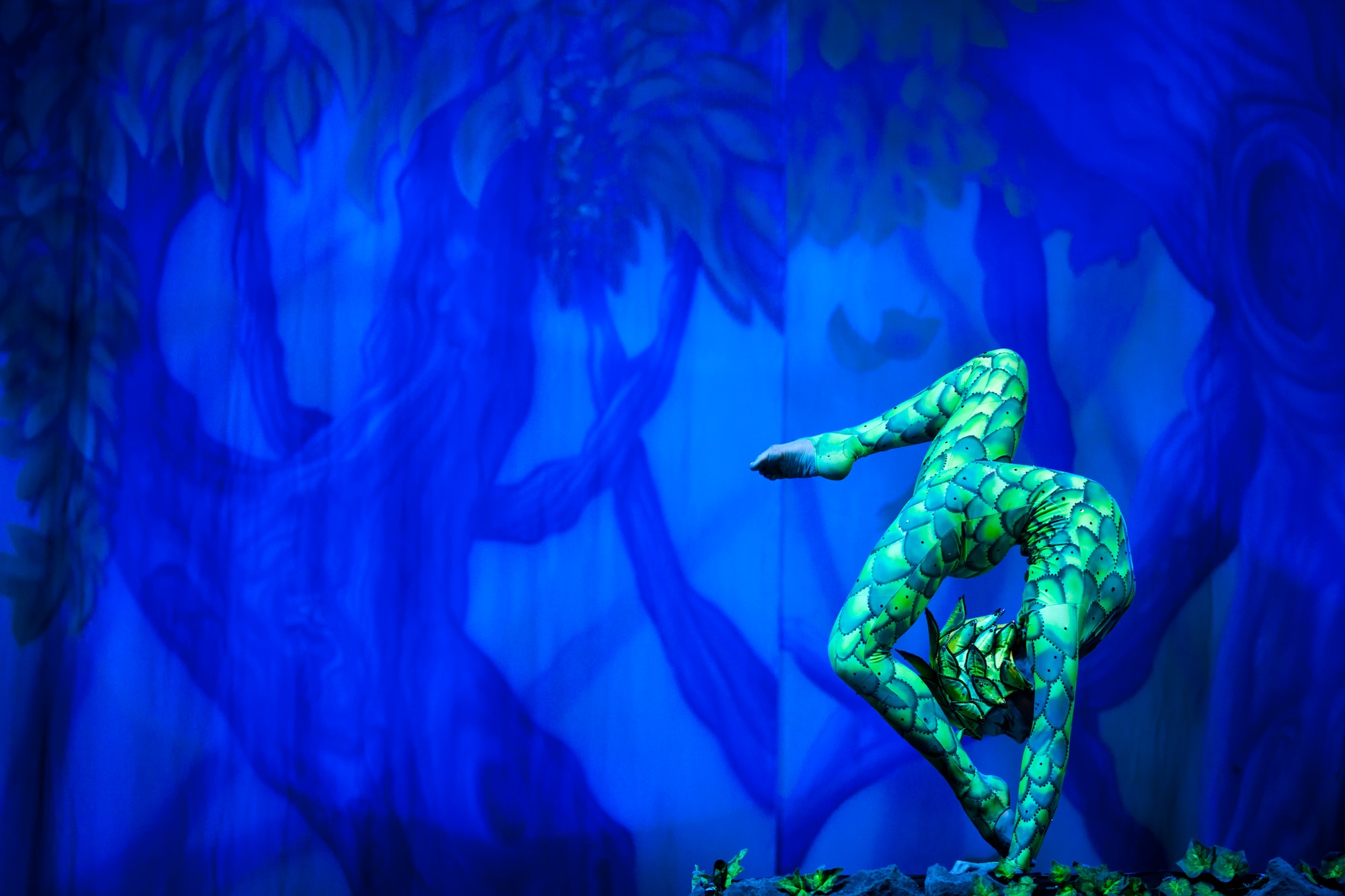 A contortionist performs during the Cirque Dreams World Tour Jan. 30, 2012, at Incirlik Air Base, Turkey. Cirque Dreams partnered with Armed Forces Entertainment to perform "Jungle Fantasy" at 17 military installations in 10 different countries through Asia and Europe. (U.S. Air Force photo by Tech. Sgt. Michael B. Keller/Released)