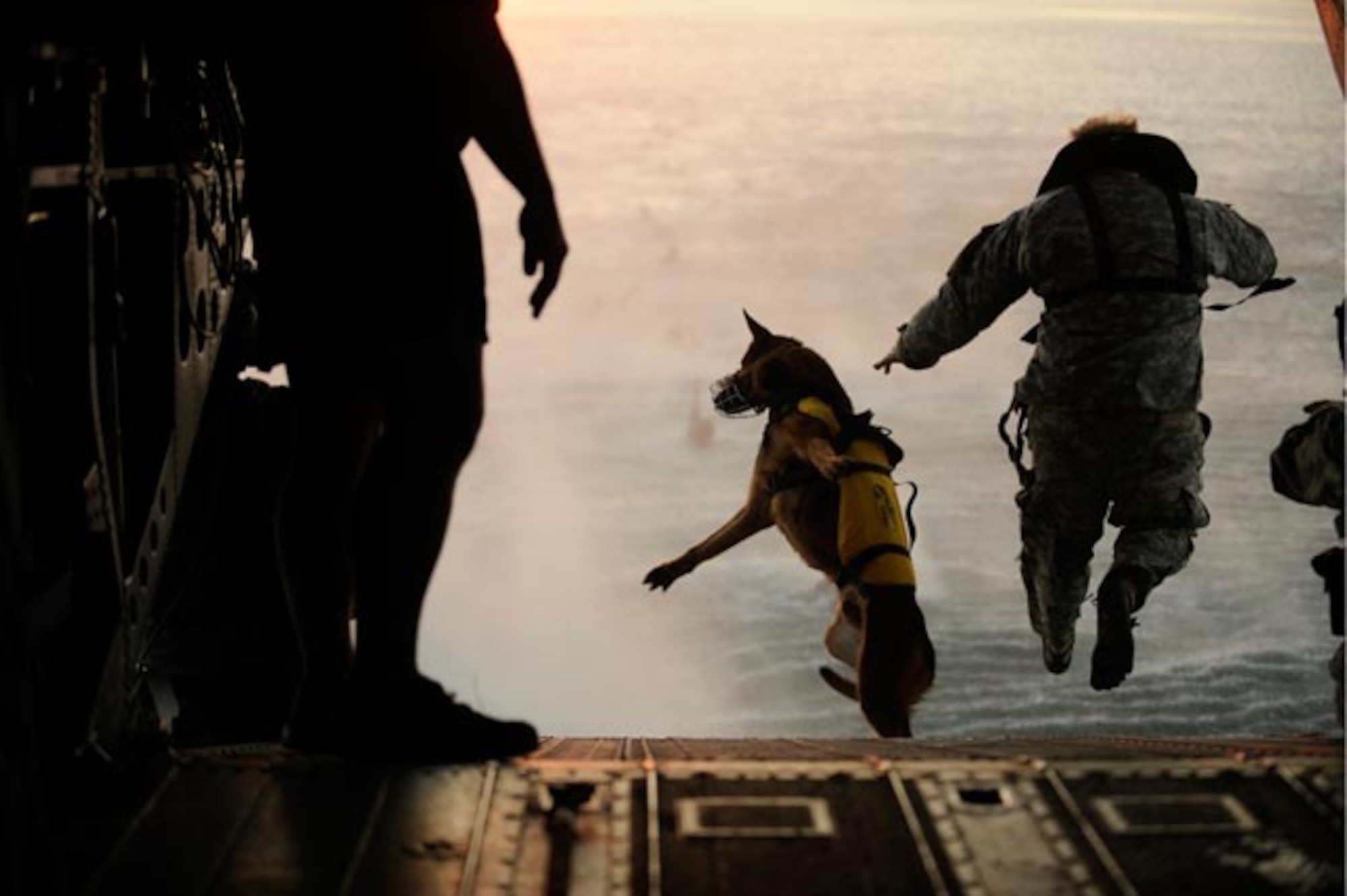 A U.S. Army soldier, with the 10th Special Forces Group, and his military working dog jump off the ramp of a CH-47 Chinook helicopter from the 160th Special Operations Aviation Regiment during water training over the Gulf of Mexico (U.S. Air Force photo by Tech. Sgt. Manuel J. Martinez)