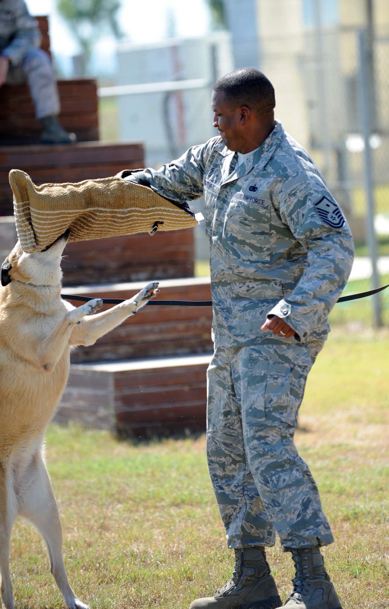 Military working dog Leona lunges at Master Sgt. Kevin Stiff, 39th Security Forces Squadron first sergeant, during a suspect pursuit demonstration June 29, 2012, at Incirlik Air Base, Turkey. As the new 39th SFS first sergeant, Stiff participated in the demonstration to get first-hand knowledge of daily operations of the MWD section. (U.S. Air Force photo by Senior Airman Jarvie Z. Wallace/Released)