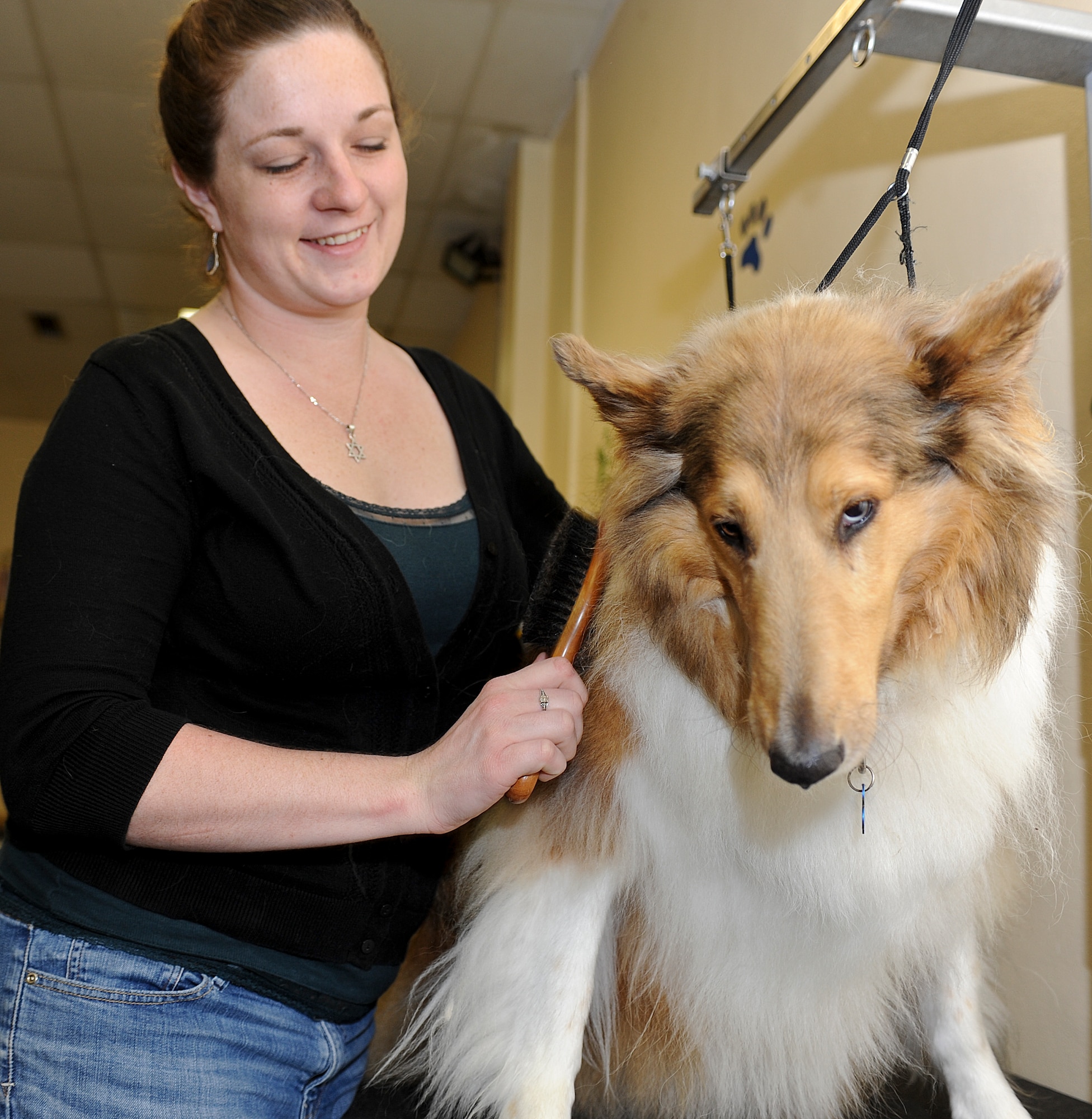 Oberweis, Germany – Summer Benedetti, 52nd Force Support Squadron Pet Spa manager, brushes Shadow, Collie, June 28 at the pet spa here. The pet spa has 31 dog and five cat indoor kennels, and they can also house exotic animals for base members. (U.S. Air Force photo by Senior Airman Natasha Stannard/ Released)