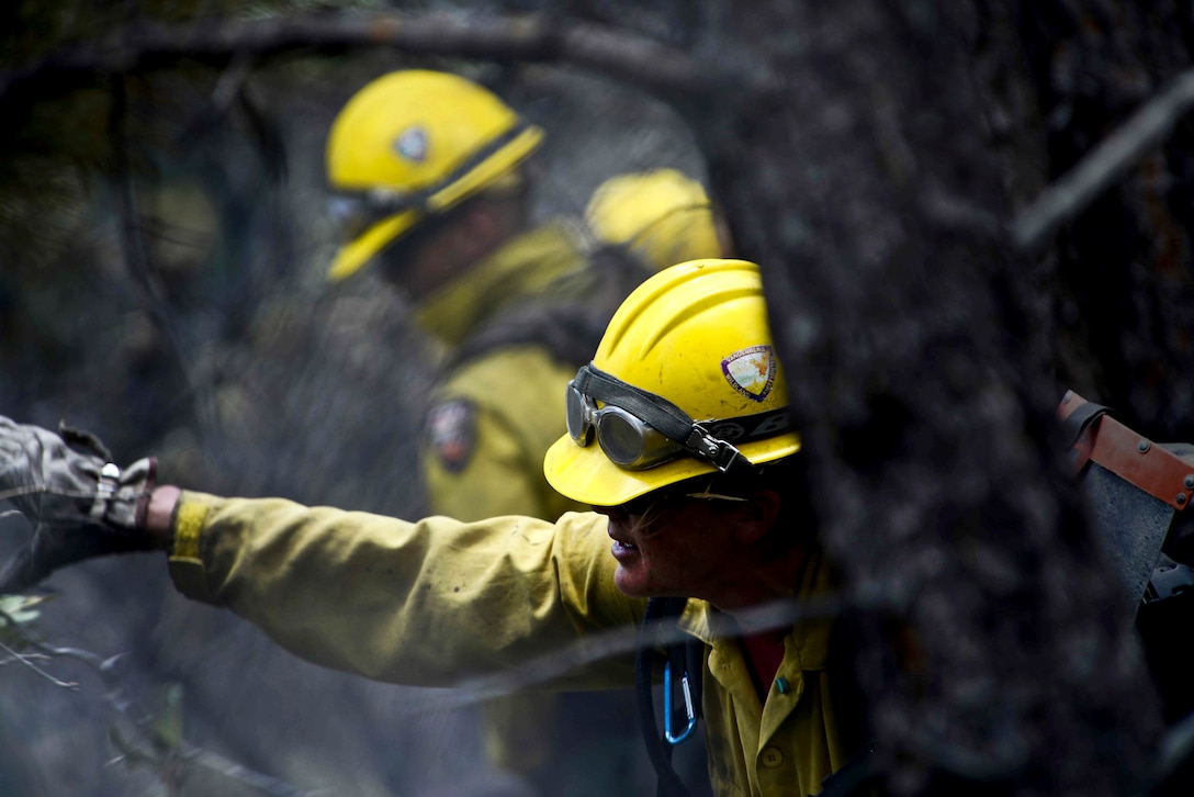 Marissa Halbeisen, A Firefighter From The Hot Shots, A Specialized Team ...