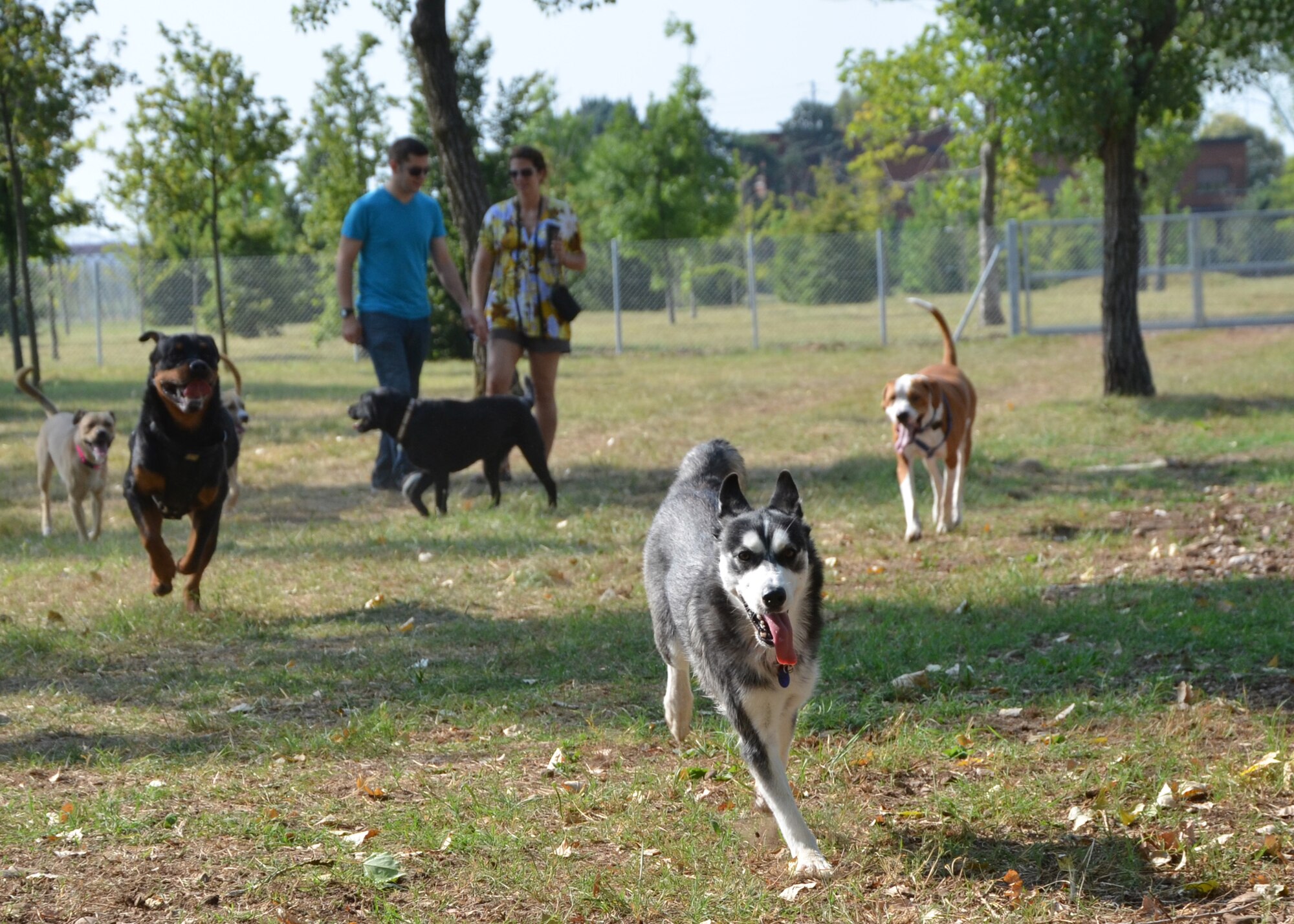 Dogs run and play as their owners look on after the opening of the Aviano Dog Park July 4, 2012.  The quality-of-life initiative was put into action after requests came through town hall meetings, the interactive customer evaluation system and spouse network channels. (U.S. Air Force photo/Capt. Erick Saks)