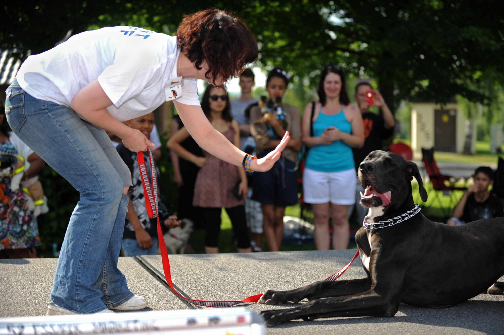 SPANGDAHLEM AIR BASE, Germany – Camille Henry, 52nd Force Support Squadron Pet Spa manager, showcases her dog, Nadia, at the pet show during Super Saber Appreciation Day here July 4. The event included a number of activities including pony rides, a carousel and swings, and two bouncy castles were available for younger children. The 52nd FSS sponsored the event to celebrate Independence Day and show appreciation to the 52nd Fighter Wing community. (U.S. Air Force photo by Senior Airman Matthew B. Fredericks/Released)