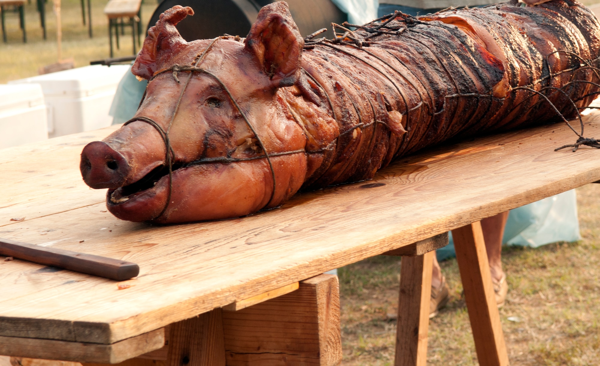 A roasted pig cools off during a luau June 29 at Aviano Air Base, Italy. The event was held for Aviano dorm residents it included games, contests, and a movie. (U.S. Air Force photo/Airman 1st Class Briana Jones)