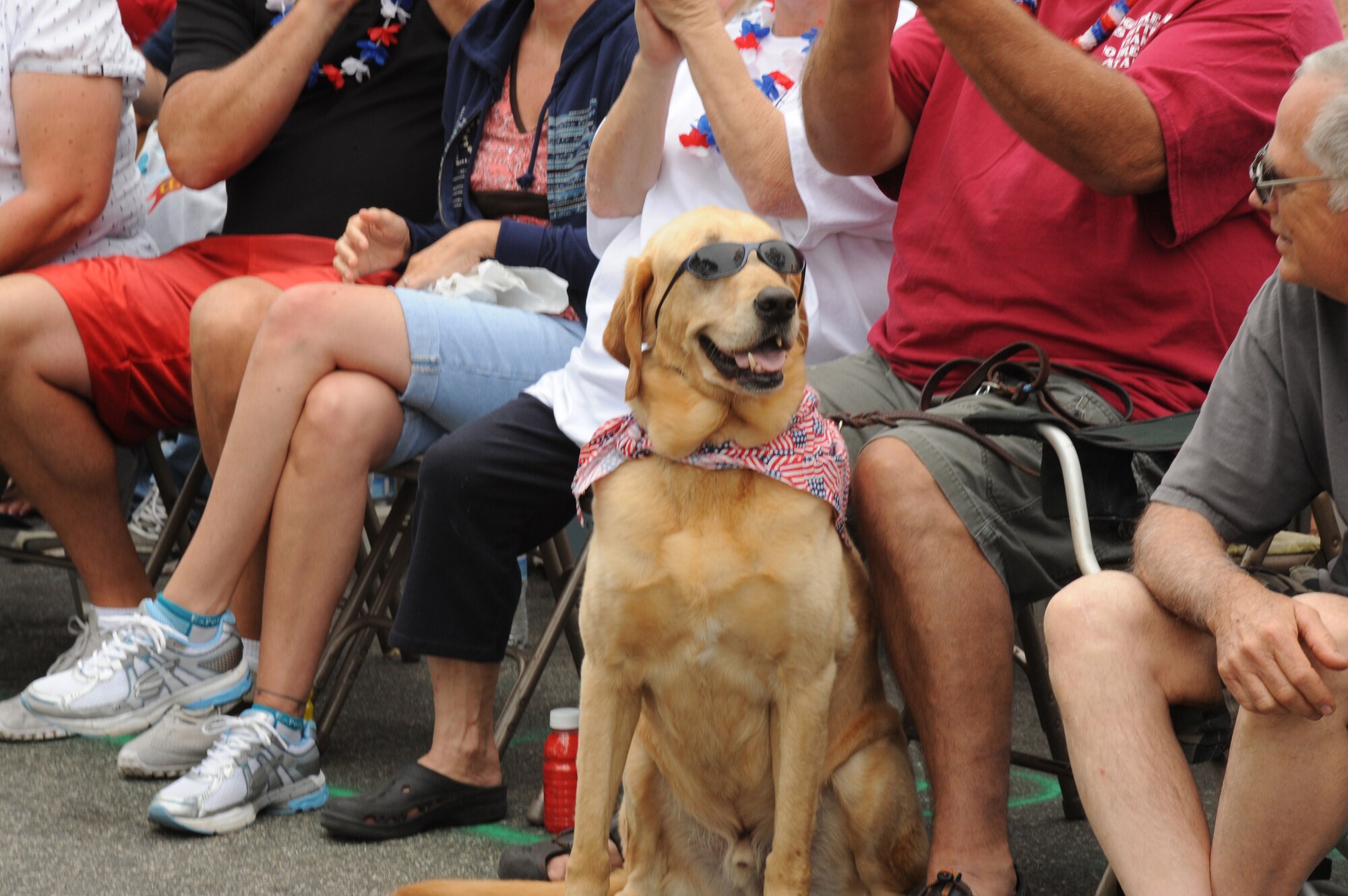 A dog shows his patriotic spirit during the Huntington Beach 4th of July parade. Lieutenant Gen. Ellen Pawlikowski, SMC commander, was the parade’s military grand marshal. (Photo by Sarah Corrice) 