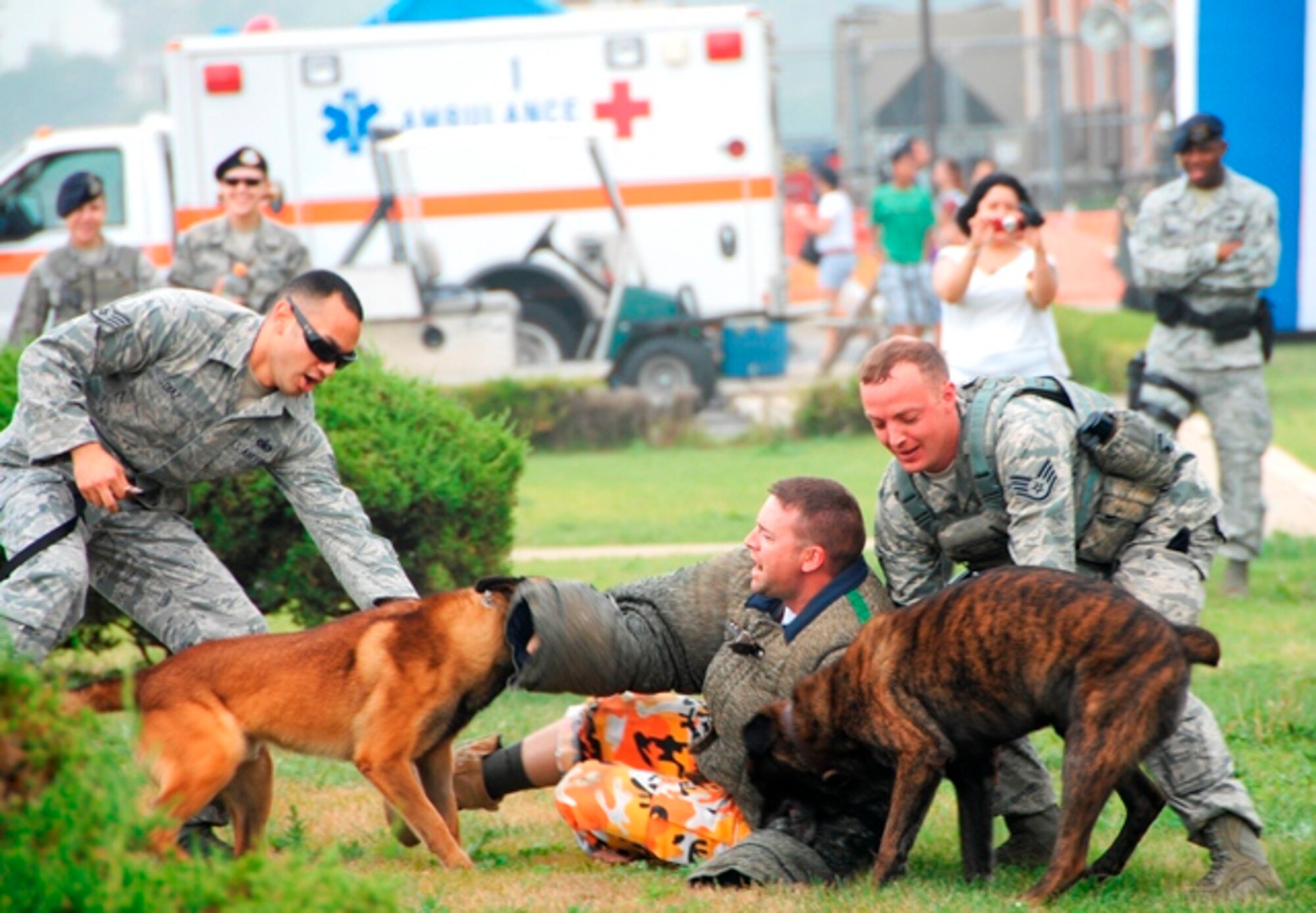 Staff Sgt. Brett Myers, 51st Security Forces Squadron, is subdued by military working dogs during a demonstration during Liberty Fest, July 4, 2012. The six-hour event on the base operations ramp featured U.S. military displays and musical entertainment. Liberty Fest was sponsored by the 51st Force Support Squadron to commemorate the United States’ Independence Day. (U.S. Air Force photo/Senior Master Sgt. Stuart Camp)