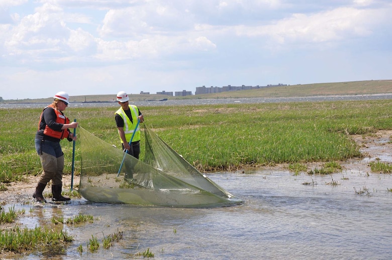 The Army Corps of Engineers continues to restore marsh islands in Jamaica Bay as part of its environmental restoration principles