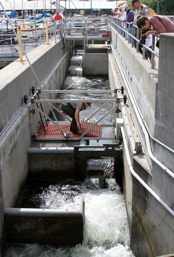 The fish ladder at the Hiram M. Chittenden Locks. (U.S. Army Corps of Engineers photo by Shane Wallenda/released)