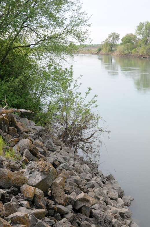 A look upstream of the Sacramento River from a Hamilton City, Calif. shore. The rock pile (left) is from emergency levee repair circa 1995, said Jose Puente, Hamilton City Community Services District general manager.