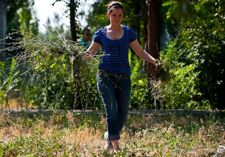 1st Lt. Kelly Mackey disposes of weeds during a visit at the Vasilievkoe School, Kyrgyzstan, July 6, 2012. The 817th Expeditionary Airlift Squadron airmen from the Transit Center at Manas performed yard work that consisted of pulling weeds, trimming bushes, and lawnmowing the grass. Mackey is a 817 EAS C-17 Globemaster III pilot deployed out of McChord Air Force Base, Wash. and is a native of a O'Fallon, Ill. (U.S. Air Force photo/Senior Airman Brett Clashman)
