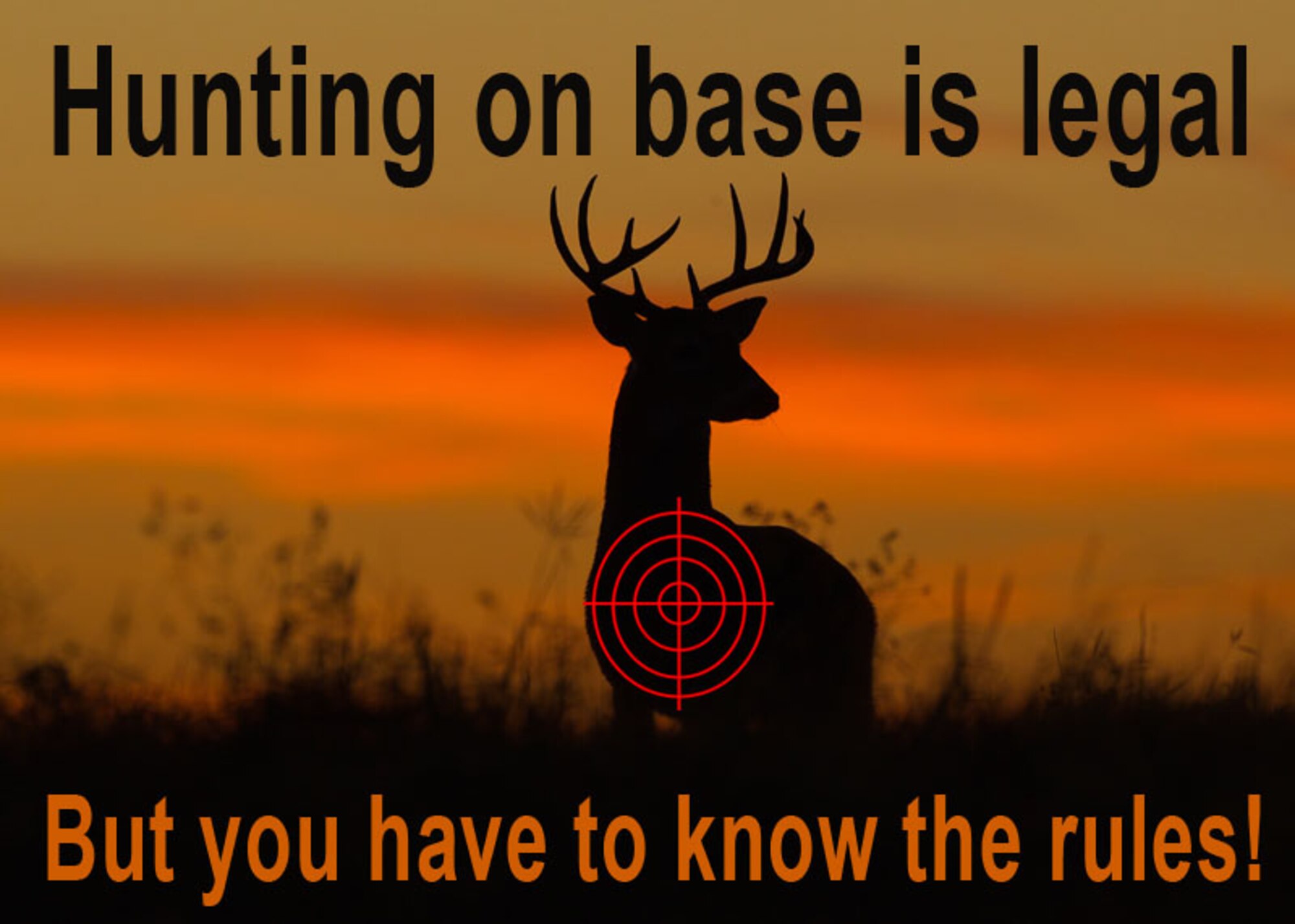 Approximately 4,000 acres of land is available for hunting at Fort Eustis, Va. Deer hunters may utilize archery, crossbows, muzzle loaders and shotguns with slugs to harvest deer during appropriate seasons, and must hunt from elevated platforms. 
(U.S. Air FOrce graphic by Tech. Sgt. Randy Redman / Released)