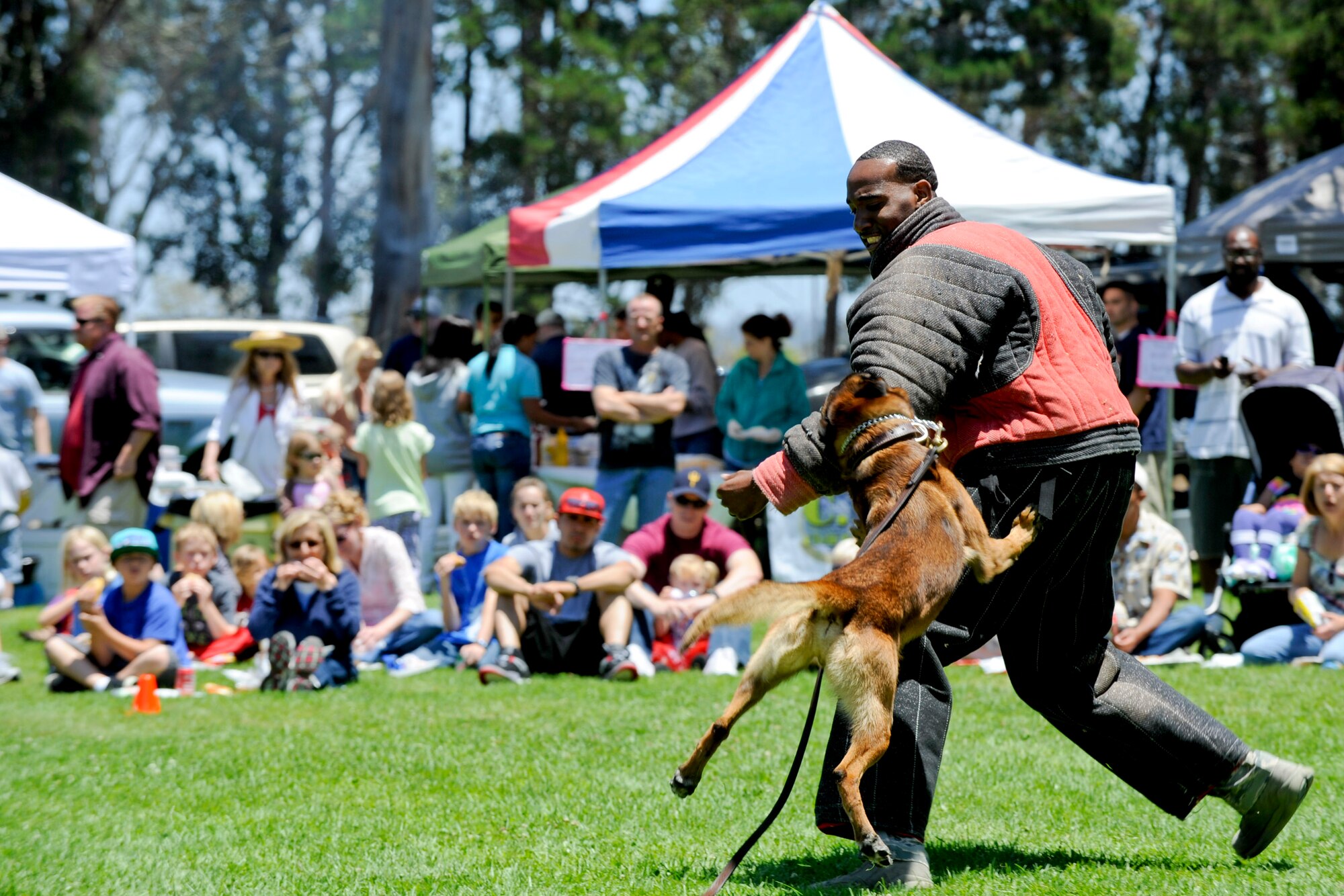 VANDENBERG AIR FORCE BASE, Calif. -- Staff Sgt. Henry Edwards III, a 30th Security Forces Squadron dog handler, demonstrates how military working dogs subdue individuals during Vandenberg's Independence Day celebration here July 7, 2012. More than 1200 Team V members came to base to celebrate their nations independence. (U.S. Air Force photo/Staff Sgt. Levi Riendeau)
