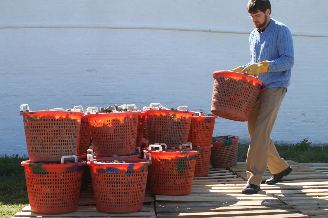 Walter Kloth, Norfolk District geographer, hauls one of 60 bushels of oyster shell to Fort Norfolk April 2, 2012. The Chesapeake Bay Foundation delivered the 60 bushels to support the oyster restoration efforts of the Norfolk District, U.S. Army Corps of Engineers, and fourth graders from Virginia Beach’s Seatack Elementary School. The district and the school partnered in 2011 to grow baby oysters in floats and this spring they will build an oyster reef to help restore the oyster population and improve the health of the Elizabeth River and the Chesapeake Bay. (U.S. Army photo/Kerry Solan)