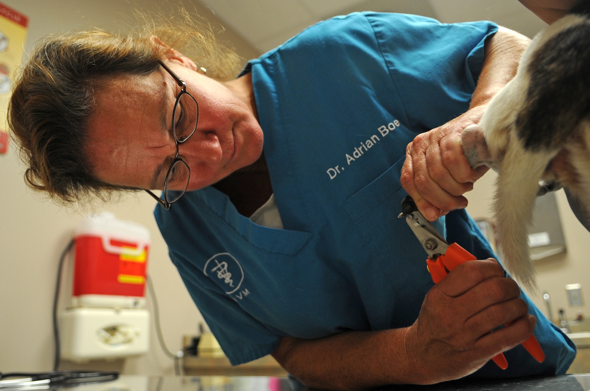 Dr. Adrian Boe, veterinarian, clips a dog’s nails during an appointment at the Veterinary Treatment Facility on Seymour Johnson Air Force Base, N.C., July 10, 2012. The clinic offers grooming treatments to include nail trimming and ear cleaning as well as wellness exams. (U.S. Air Force photo/Airman 1st Class Aubrey Robinson/Released)