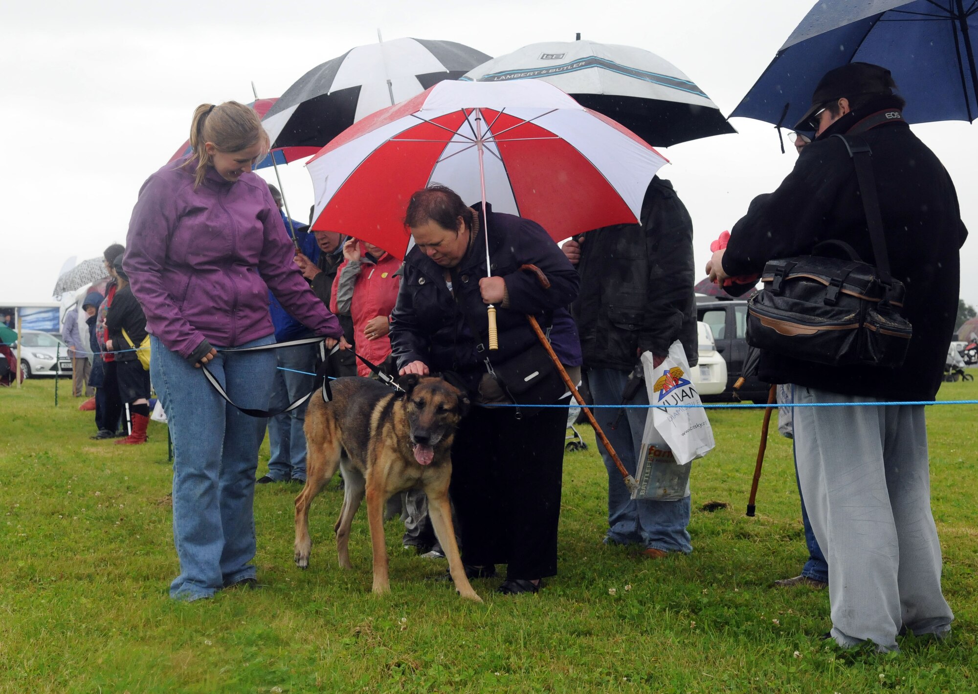TIBENHAM, England -- Retired Military Working Dog Santo gets attention from spectators at a demonstration at the Tibenham Heritage Air Festival July 8, 2012. While only those trained to work with the K-9s are allowed to interact with them while active, Santo allowed audience members to see how some working dogs are adopted into families after their career. (U.S. Air Force photo/Staff Sgt. Austin M. May)