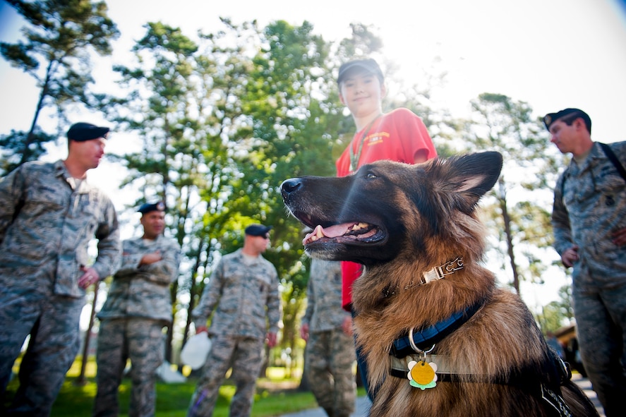 Bronx, a German shepherd service dog for 13-year-old Christopher Carswell, sits outside the military working dog facility during a visit to Moody Air Force Base, Ga., July 10, 2012. Bronx is a trained medical alert dog and can detect when Christopher is about to have a seizure before a human can. (U.S. Air Force photo by Staff Sgt. Jamal D. Sutter/Released) 