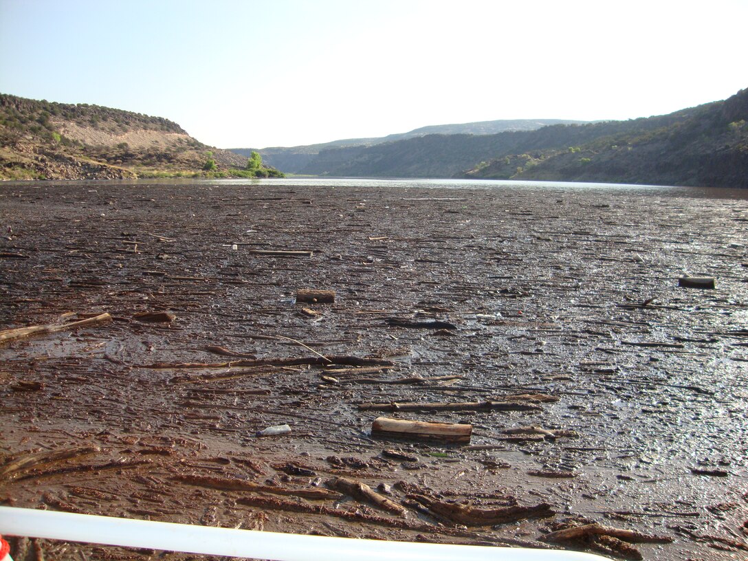 After hard rains in the Jemez Mountains July 11 and 12, a mat of debris has begun to pile up behind the log boom across Cochiti Lake.